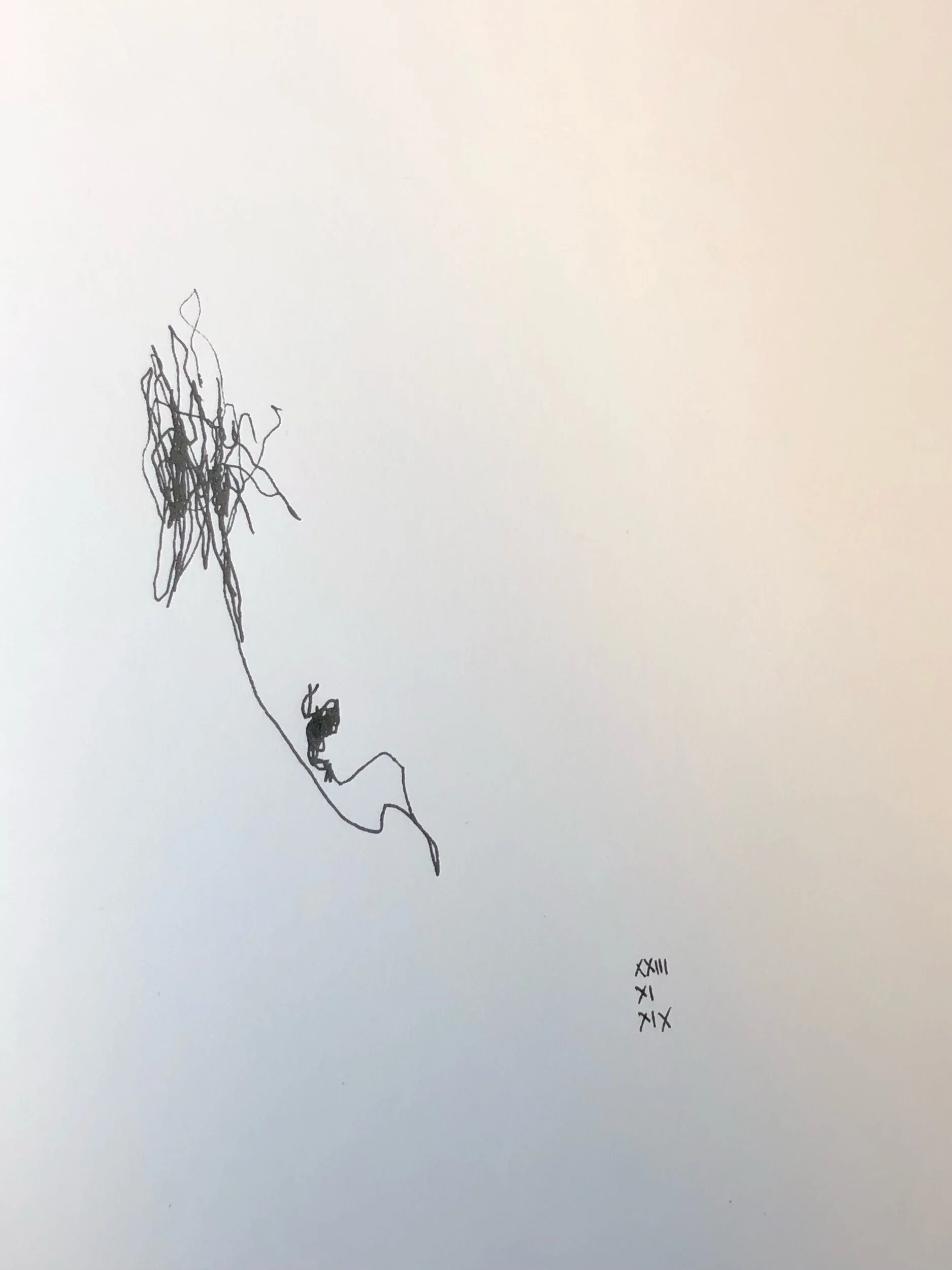 23.11.2019