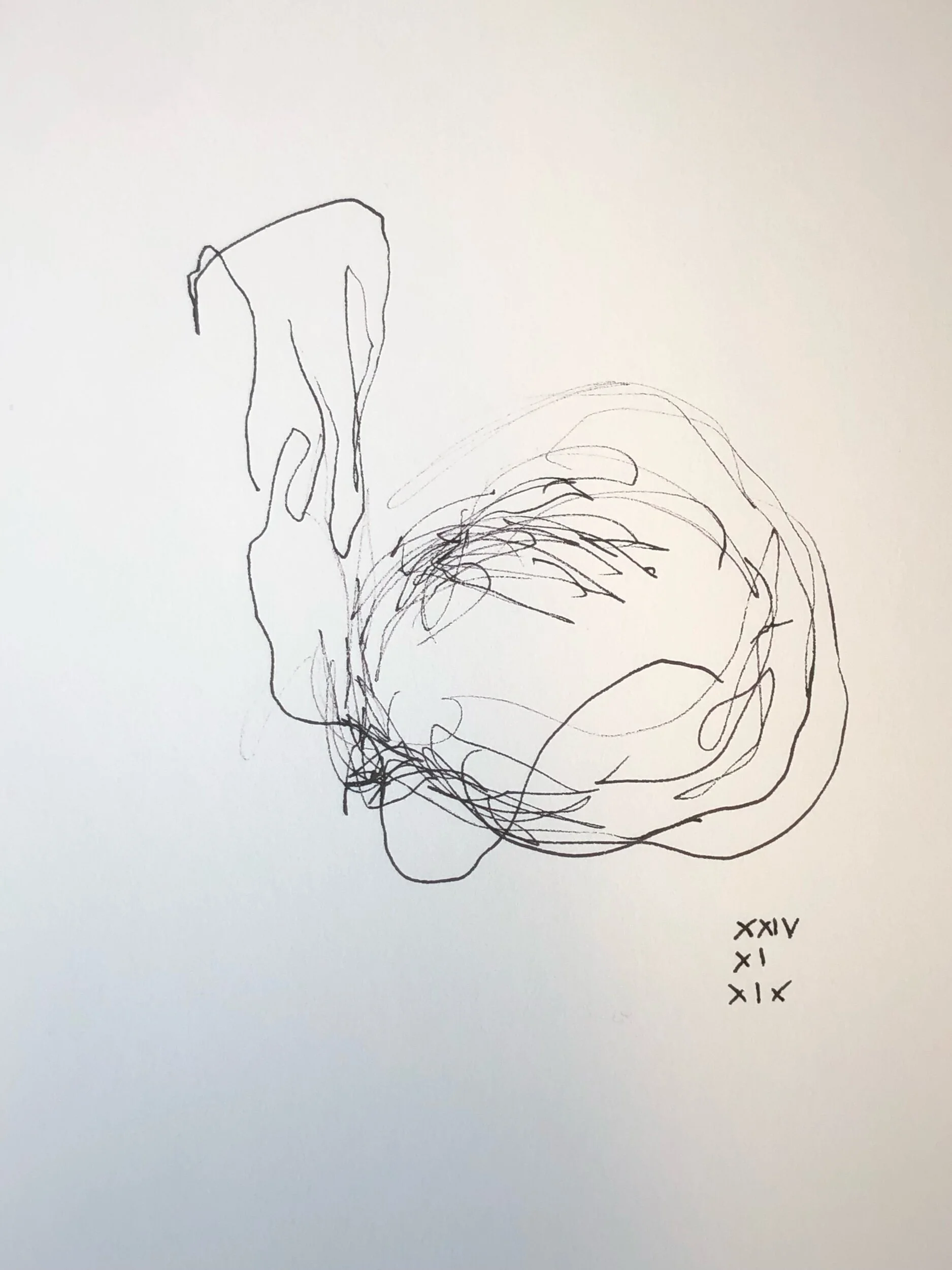 24.11.2019