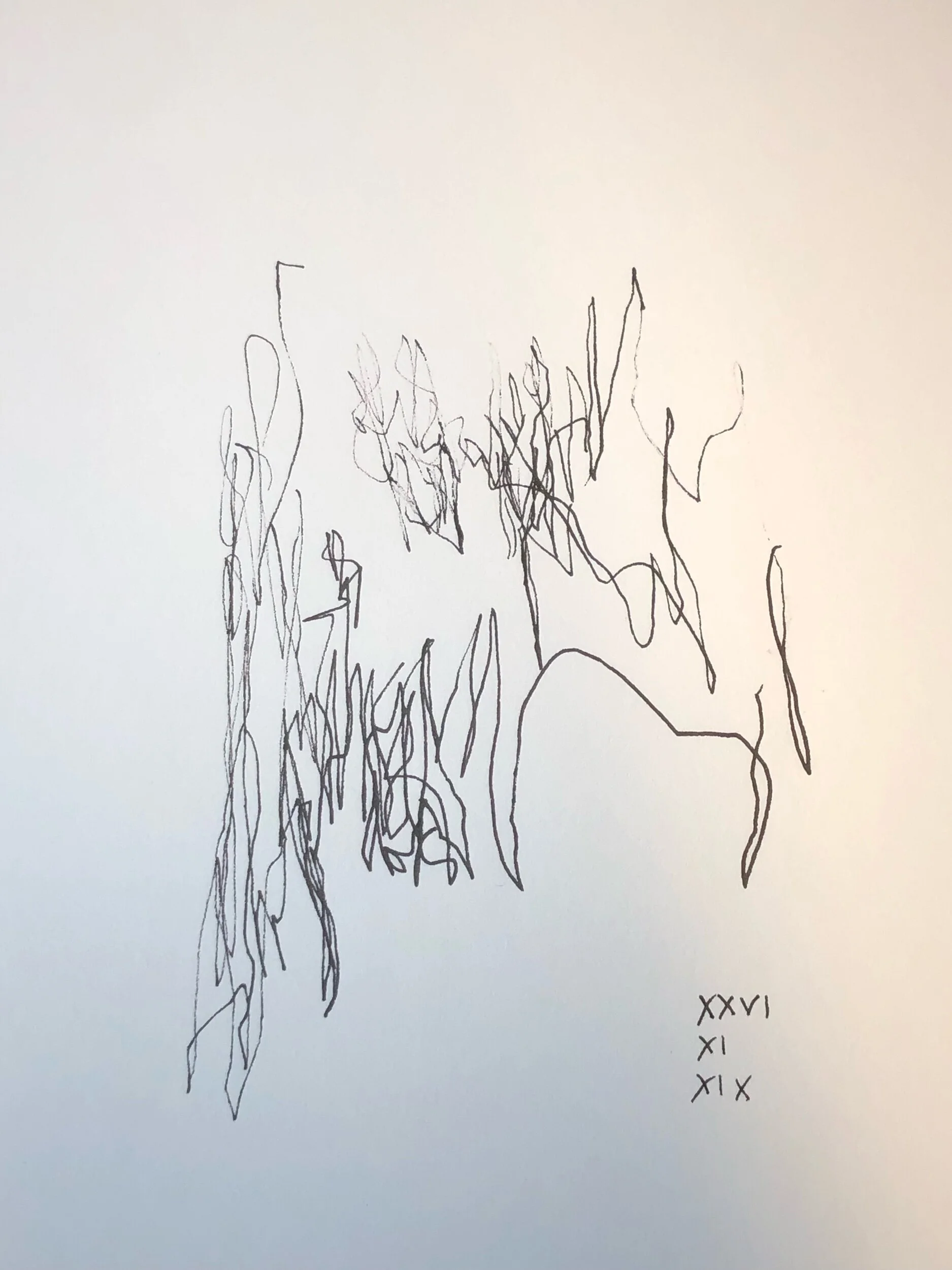 26.11.2019