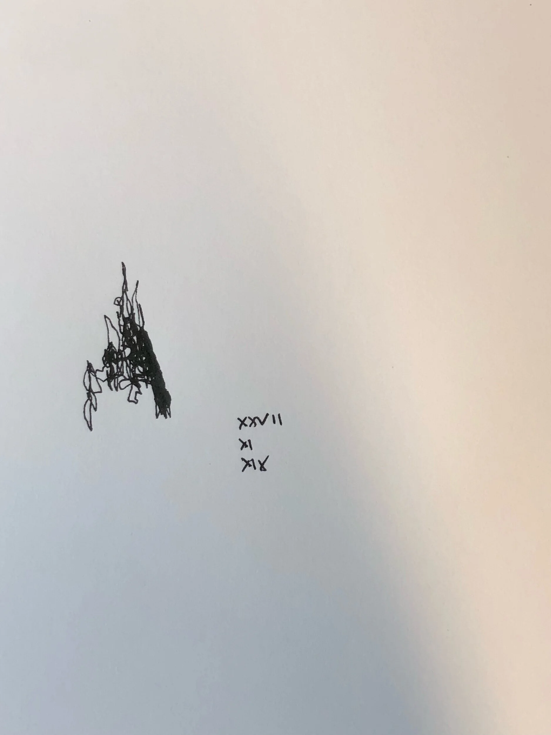 27.11.2019