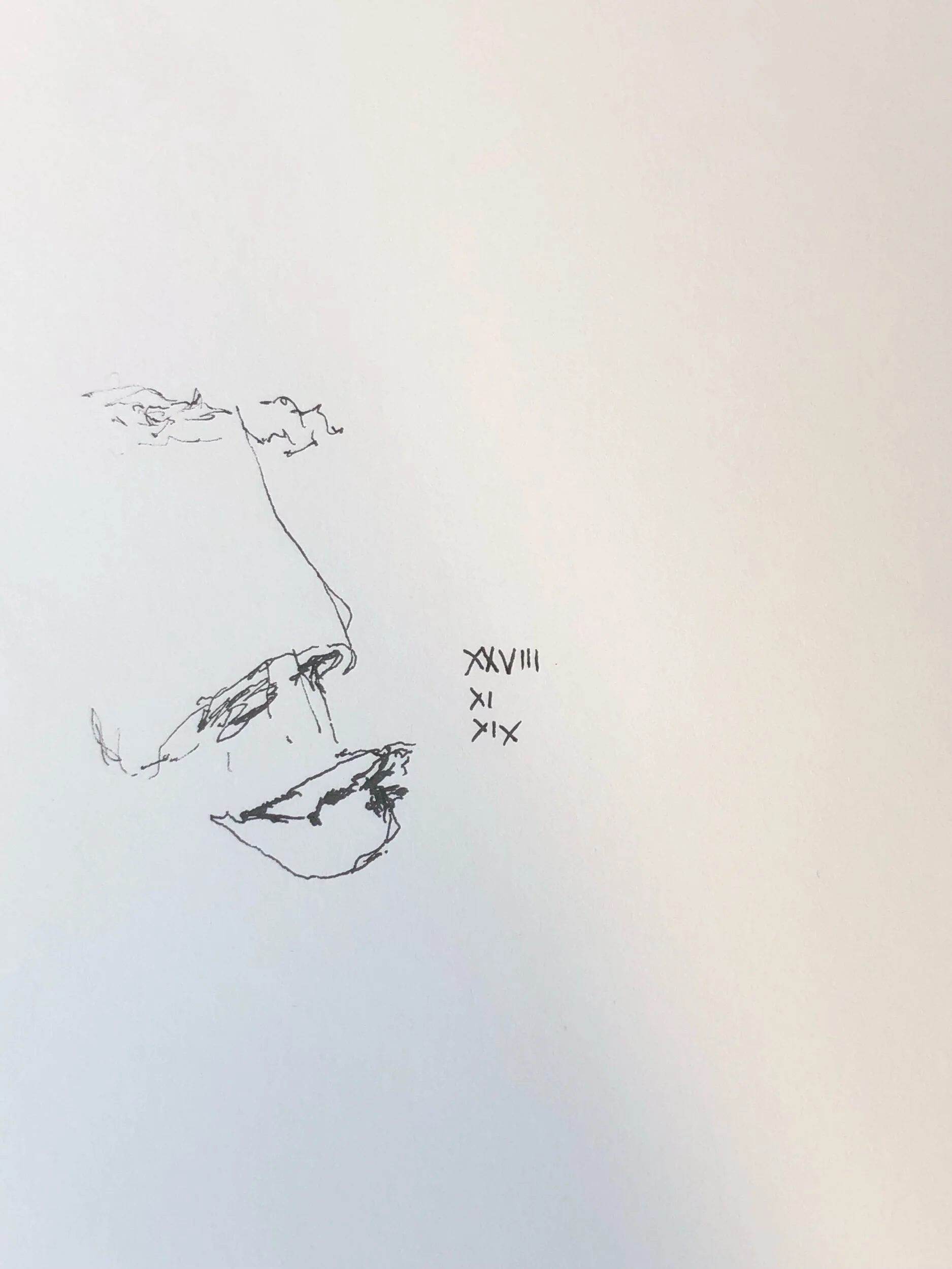 IMG_6261.jpeg