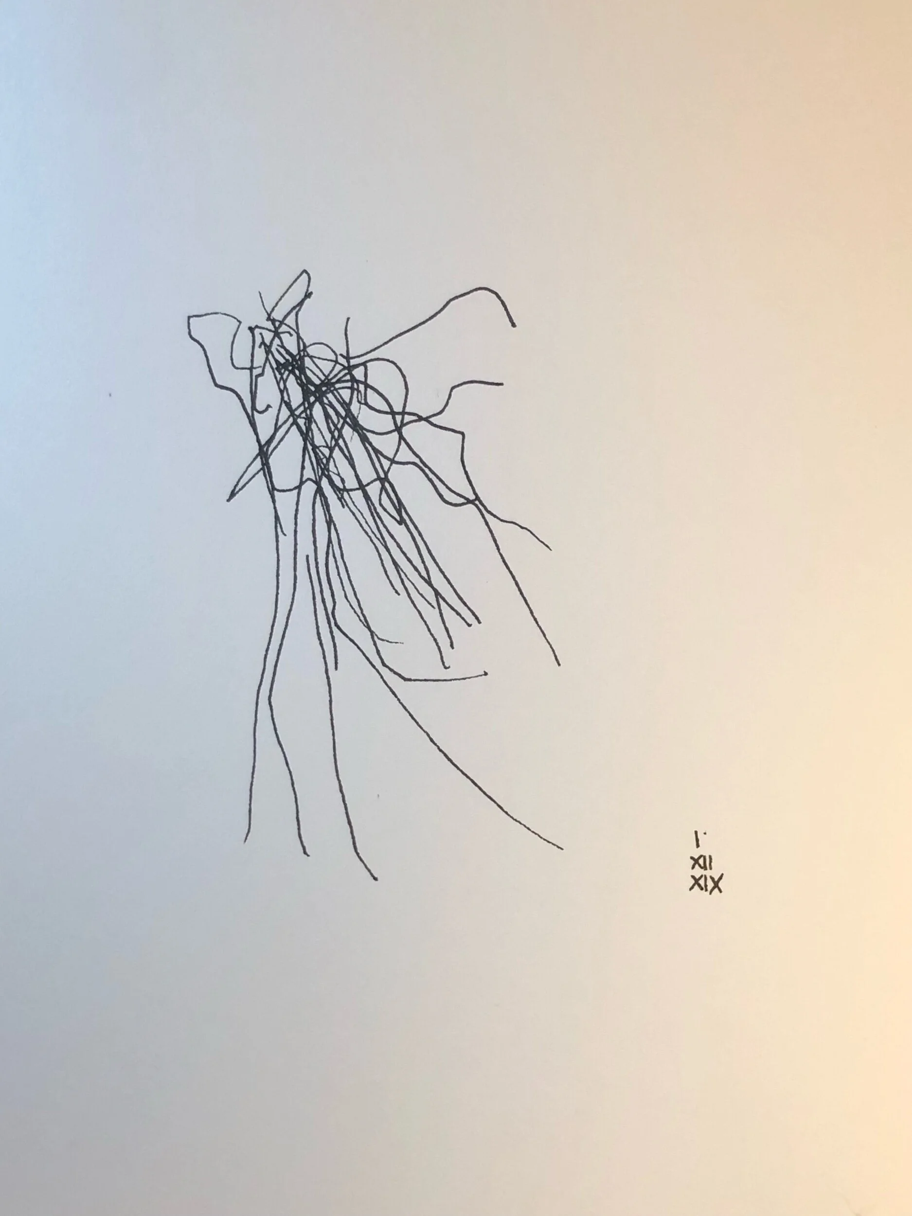 01.12.2019