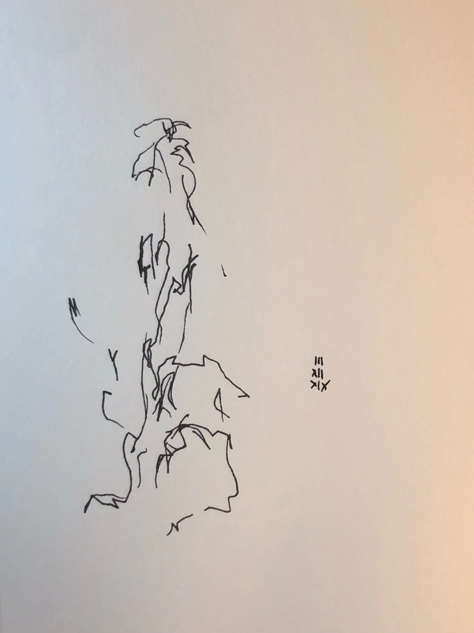 03.12.2019