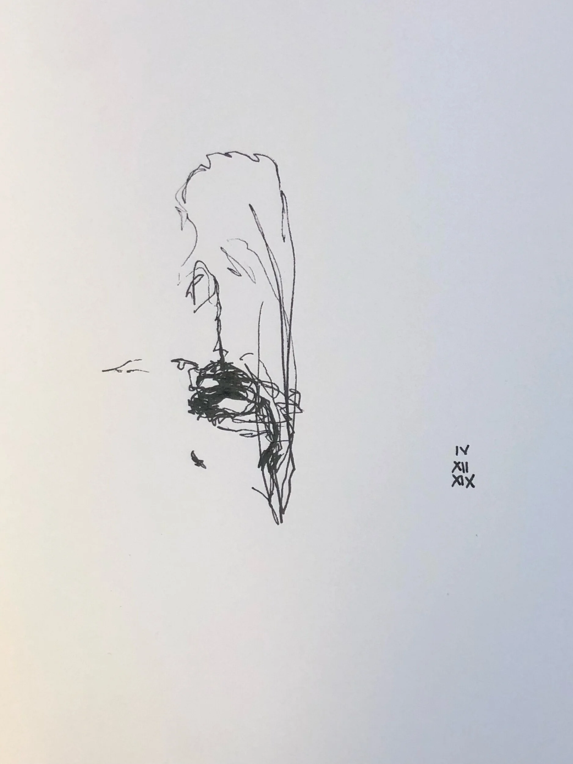 04.12.2019
