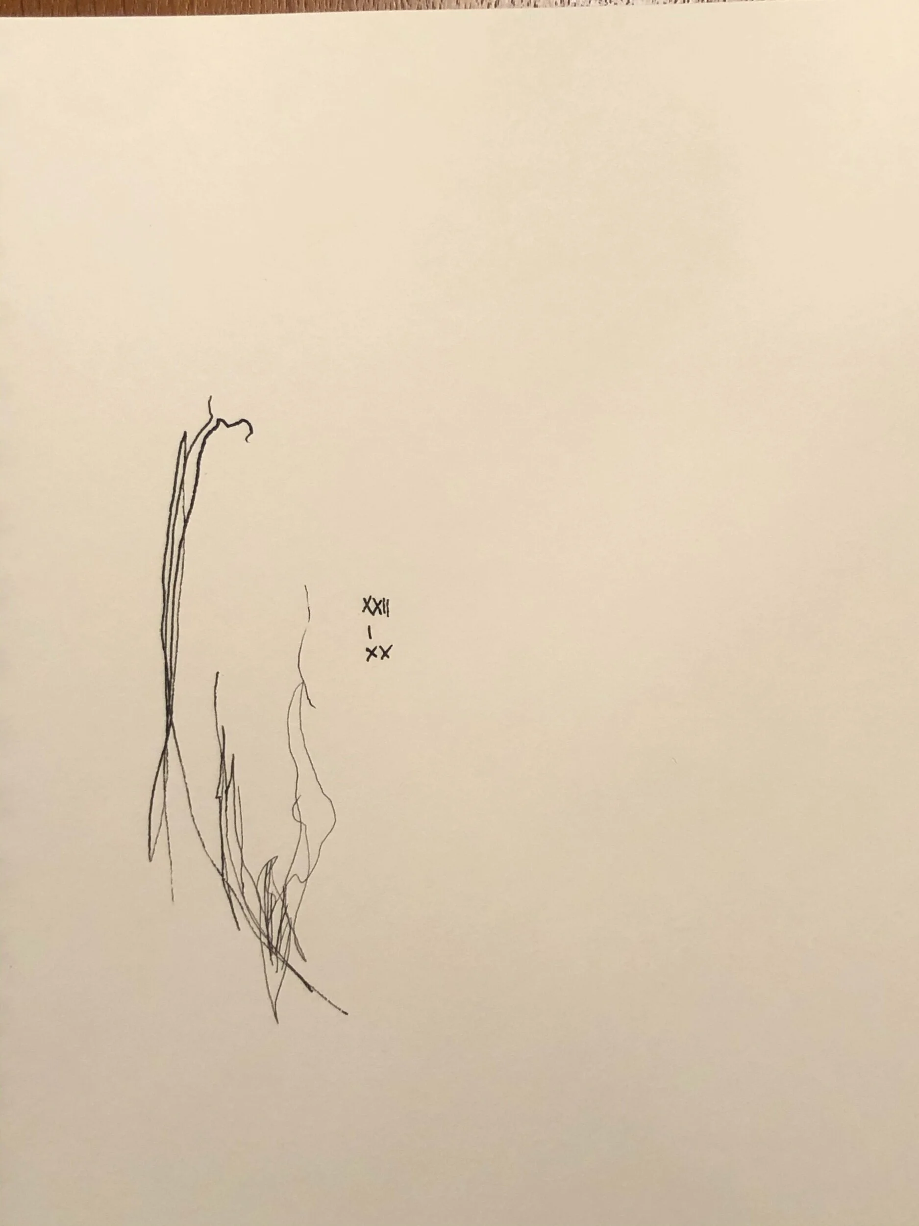 22.01.2020