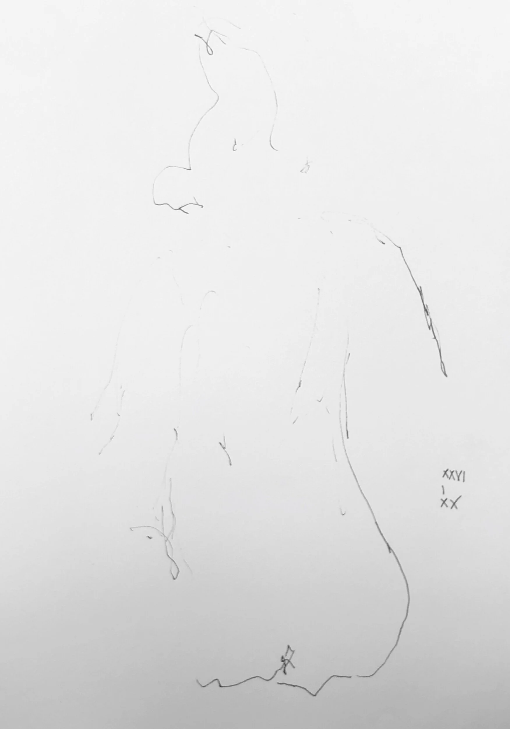 29.01.2020