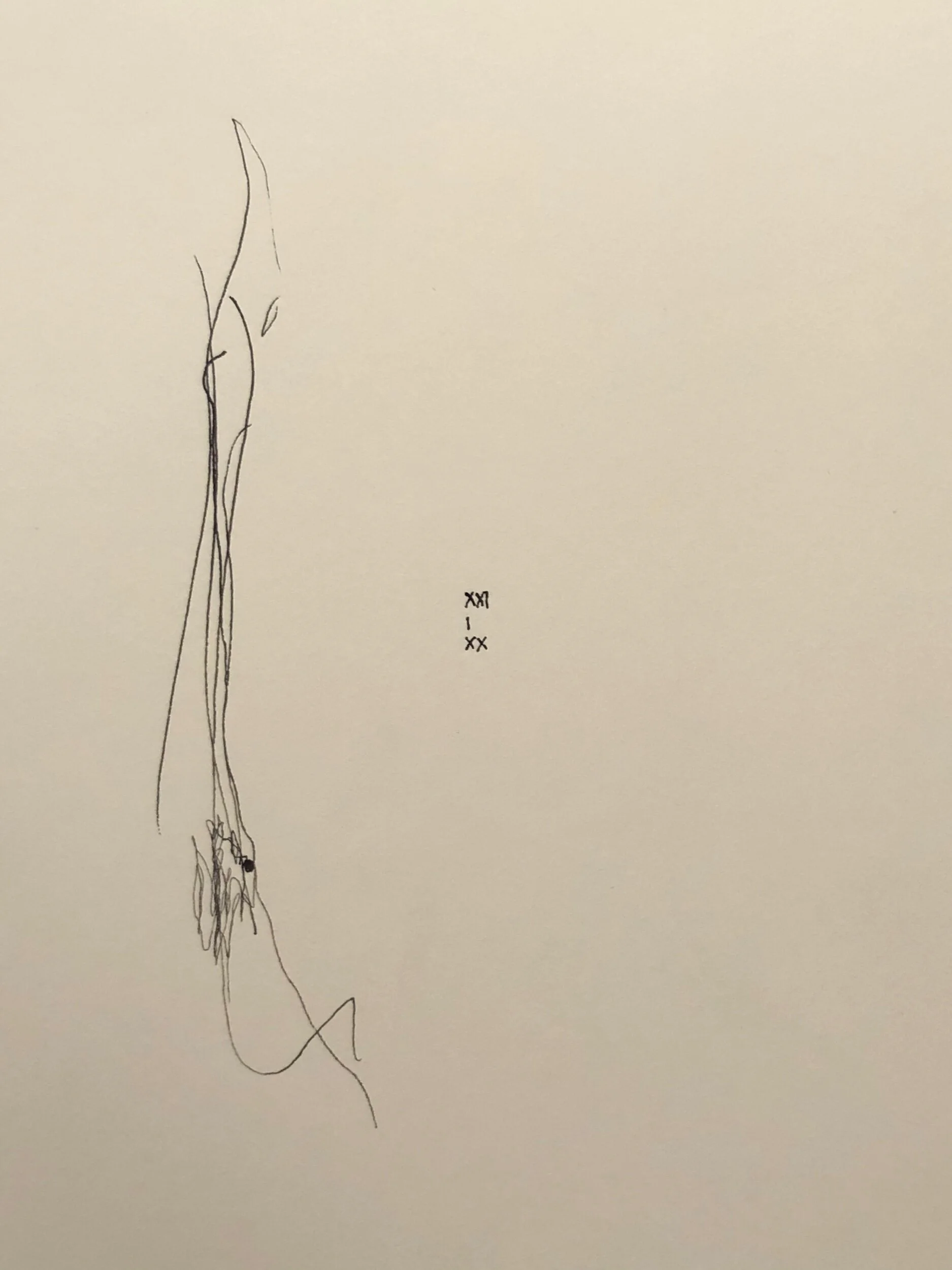 21.01.2020