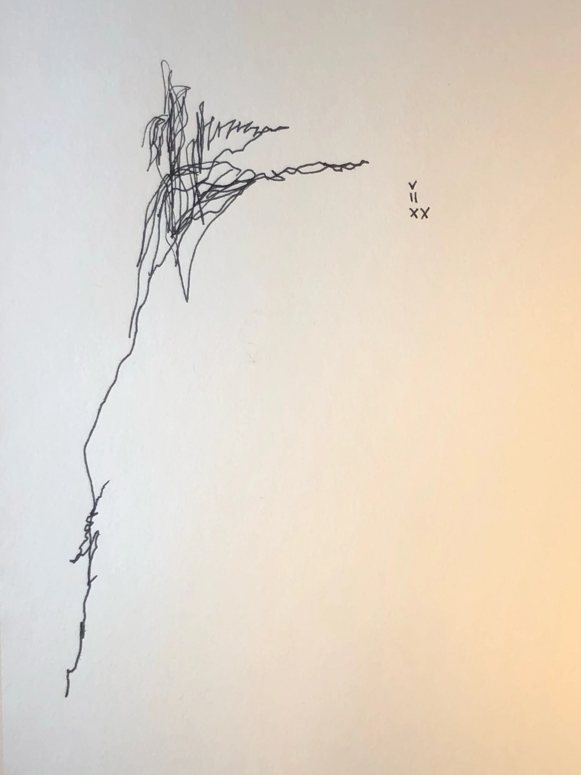 05.02.2020