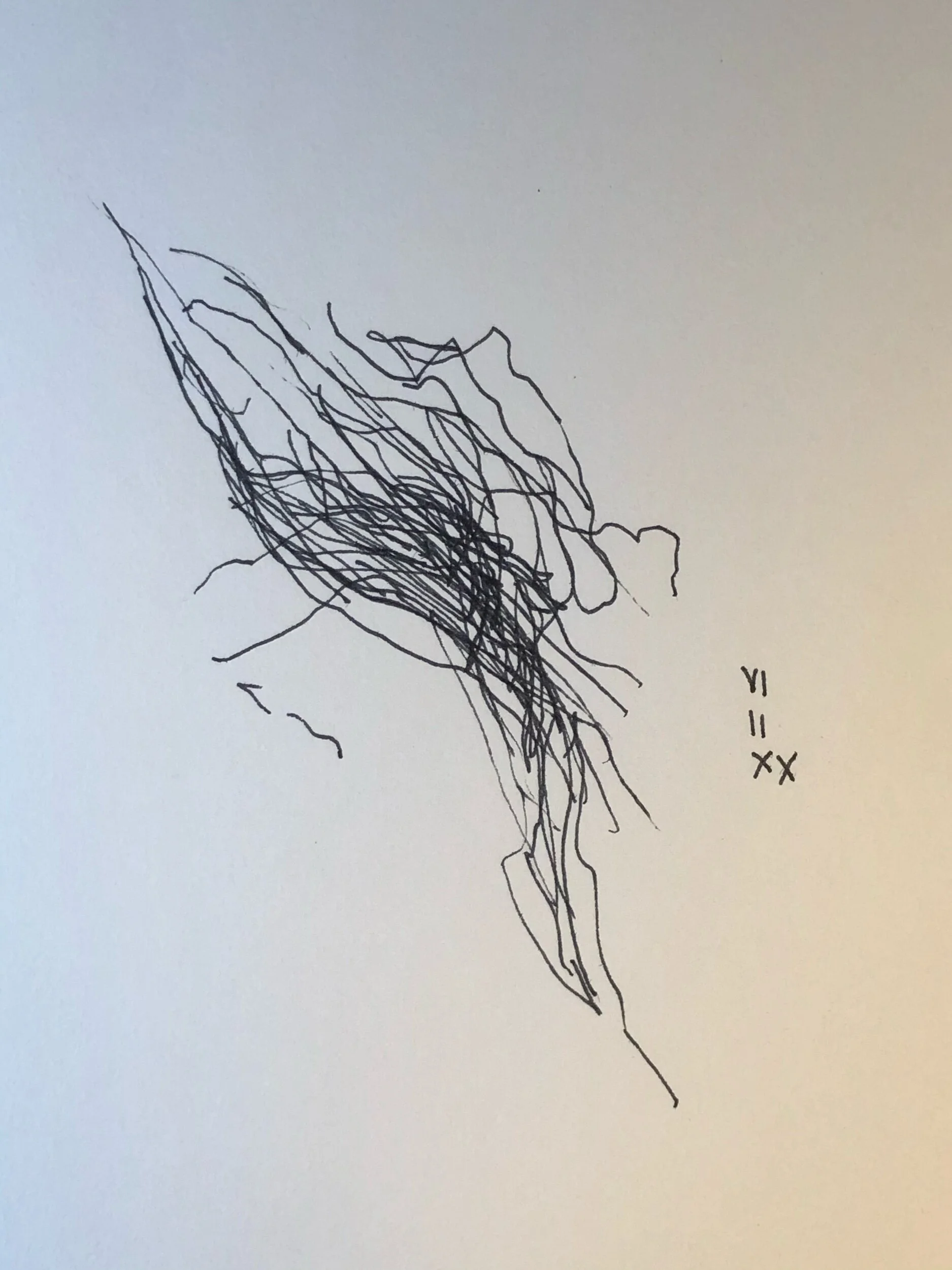 06.02.2020