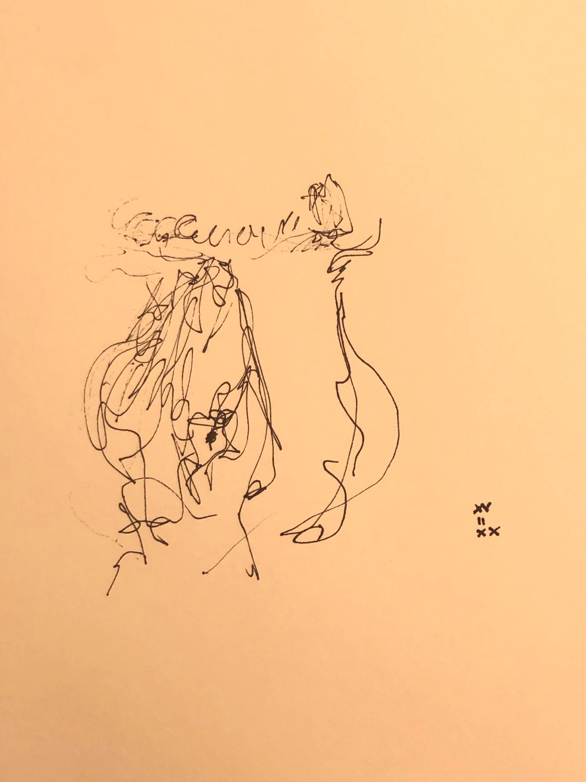 15.02.2020
