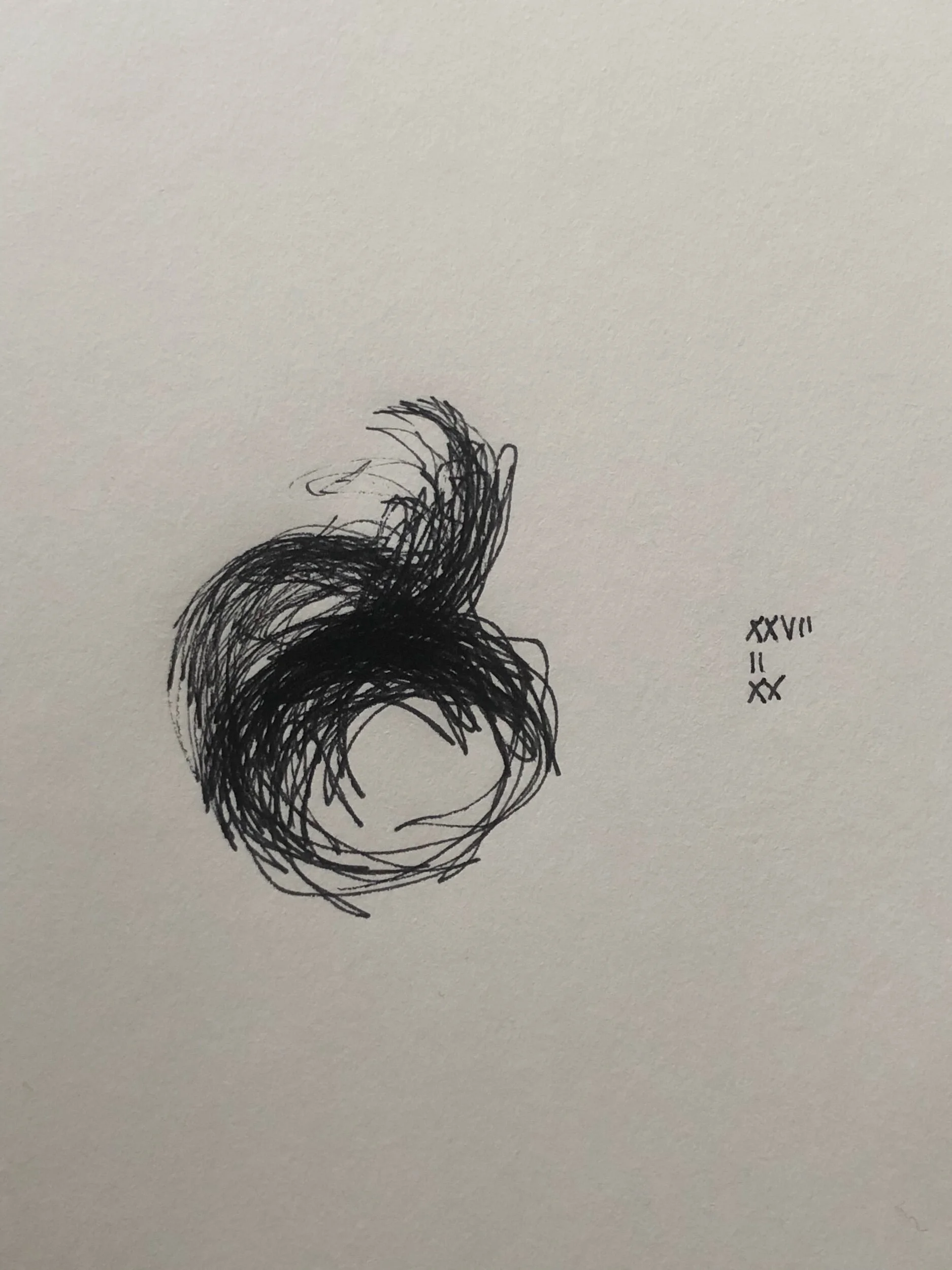 27.02.2020