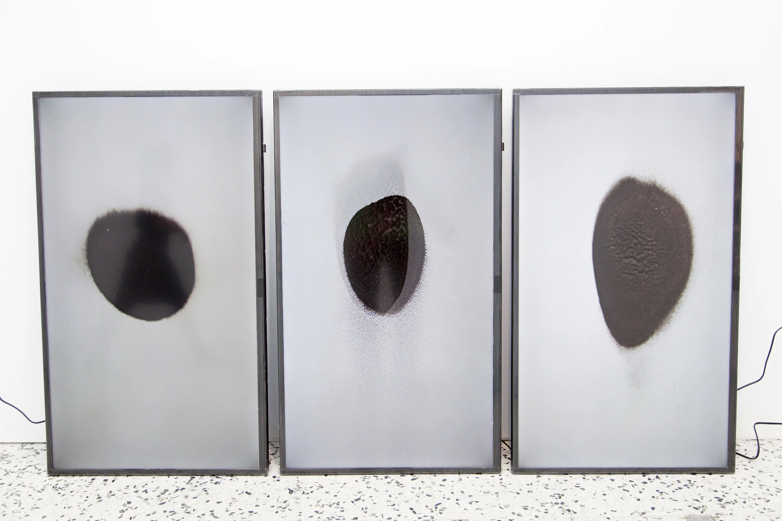 Gabriel Roca | Crudo
