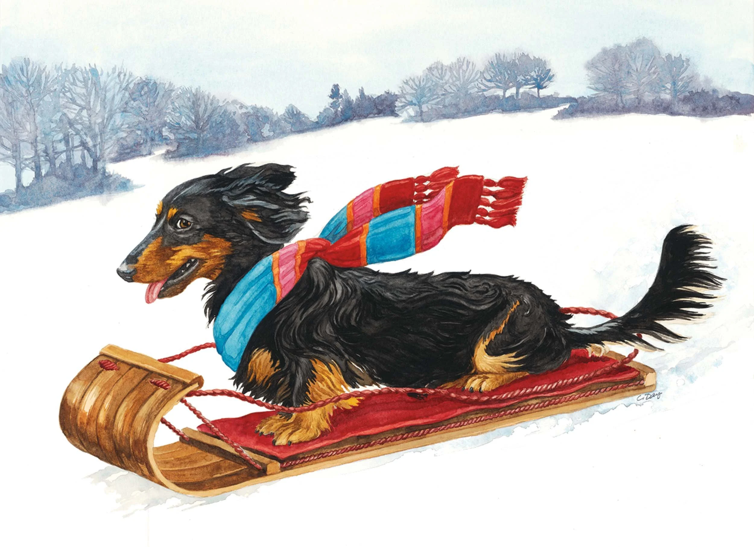Sled Dog - Longhaired Dachshund, Sled, Snow - Watercolor