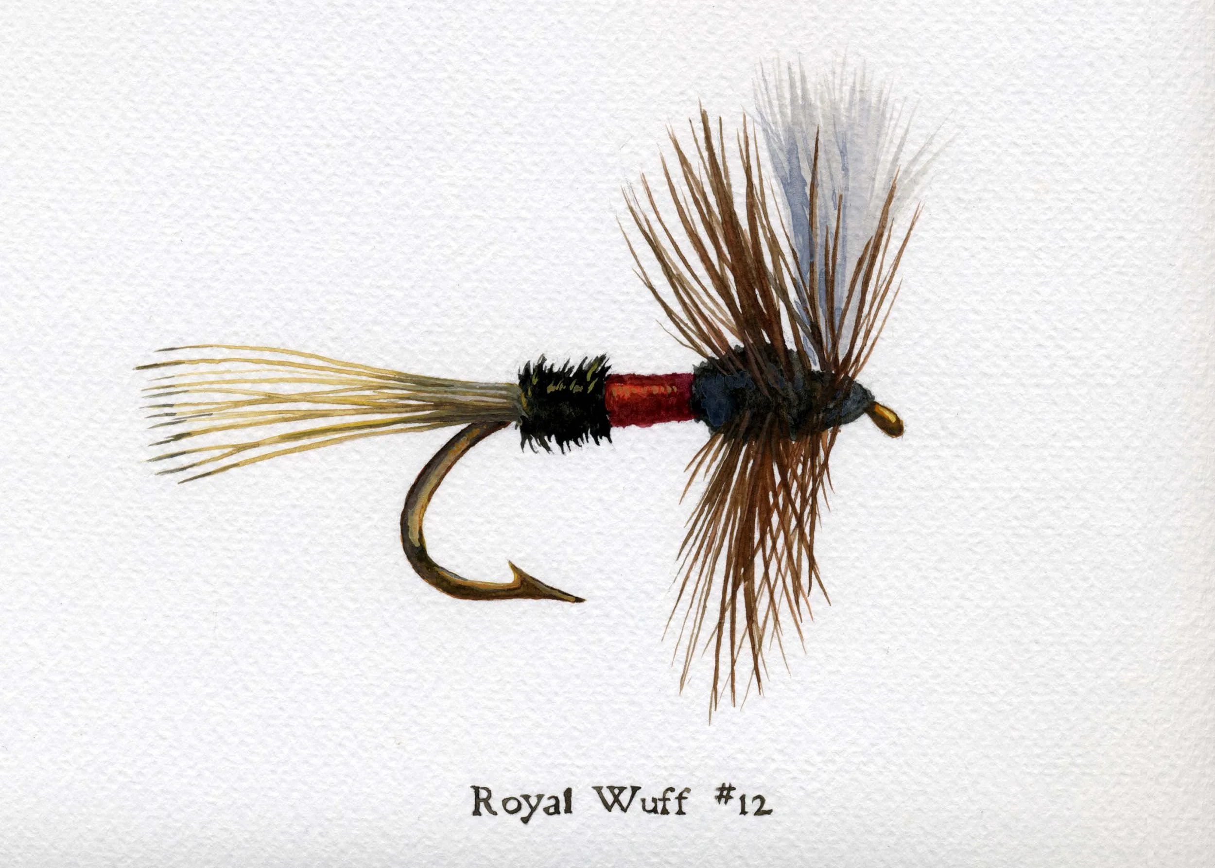 Royal Wuff Fishing Fly - Watercolor