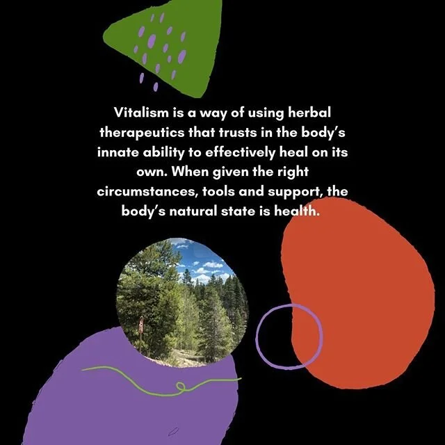 HEALING IS ALREADY WITHIN YOU!

Every body has the ability to heal within it. As a Vitalist herbalist, I practice knowing that your body&rsquo;s natural state is health, it&rsquo;s just out of balance. 
Think back to the last time you cut yourself or