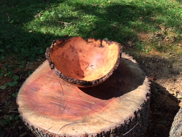 Cherry Burl and Stump.JPG
