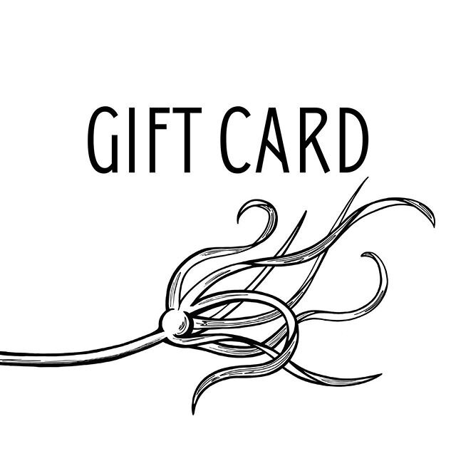 Unsure what to get for someone? Want to support a small local biz? We&rsquo;re offering Gift Cards at our online store. Check it! 🌿🌿🌿 website link in bio.

#supportlocal #yyjbusiness #yyj #giftideas #giftcards #naturalbeauty #naturalbeautyproducts