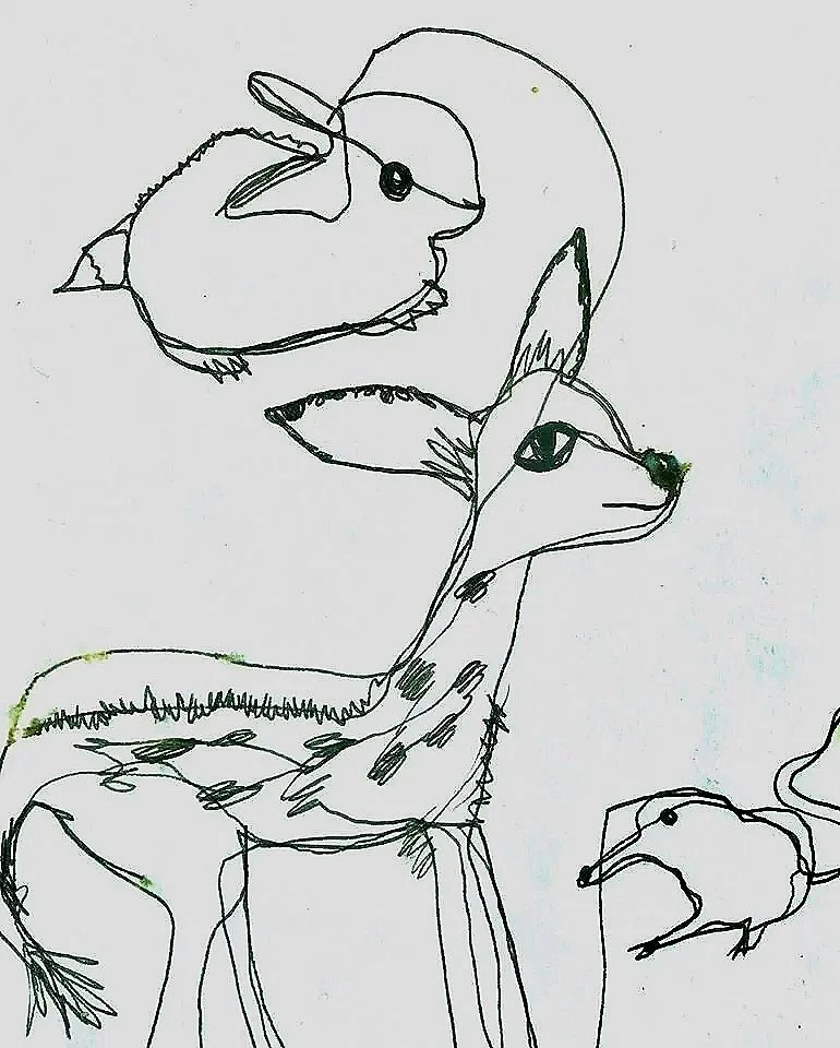 Experimental drawing - continuous line