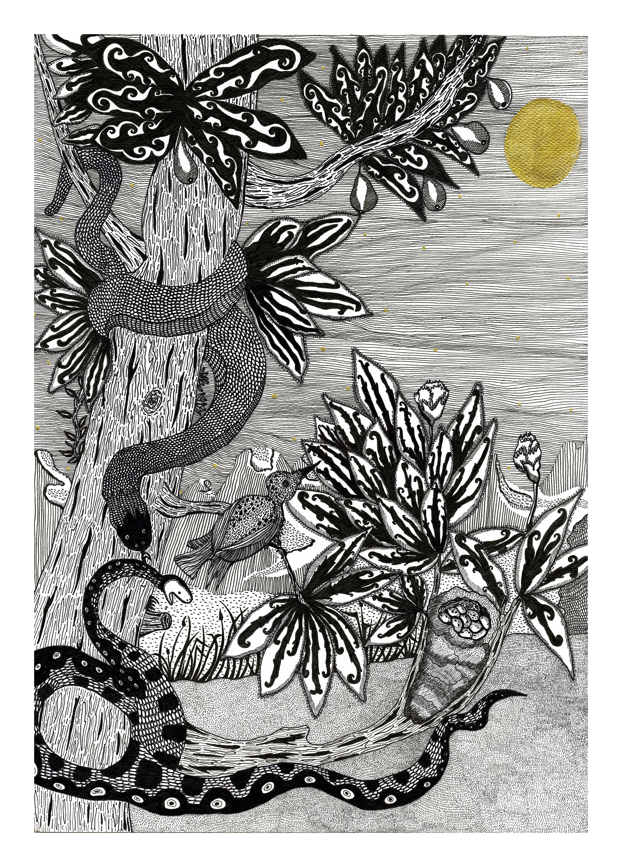 Veronica Rowlands snake and birds ink drawing_.png