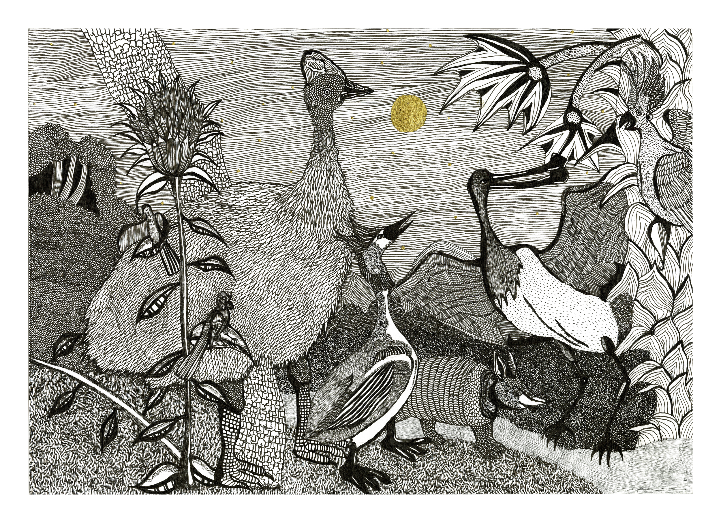 Where The Birds Keep Watch sml.png