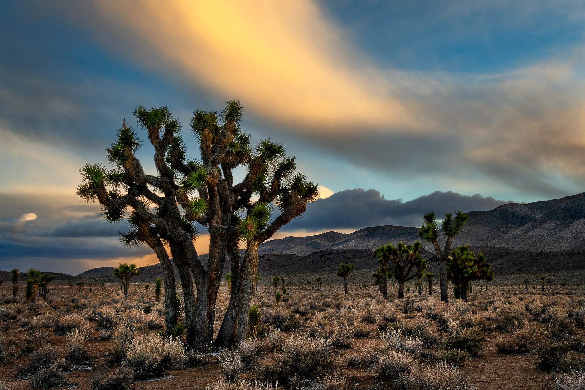 _DSC5067-Edit.jpg