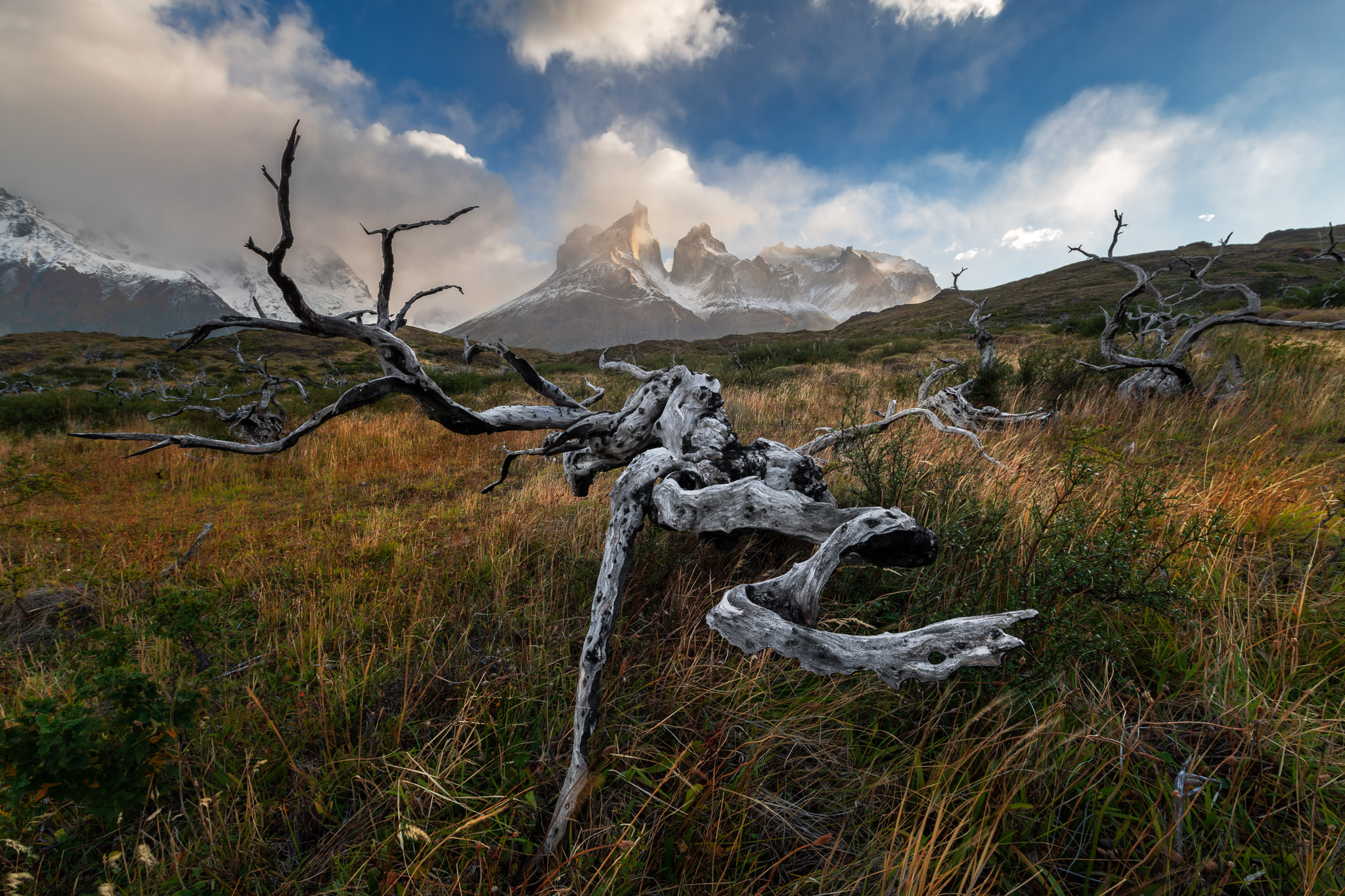 _DSC0237-Edit.jpg