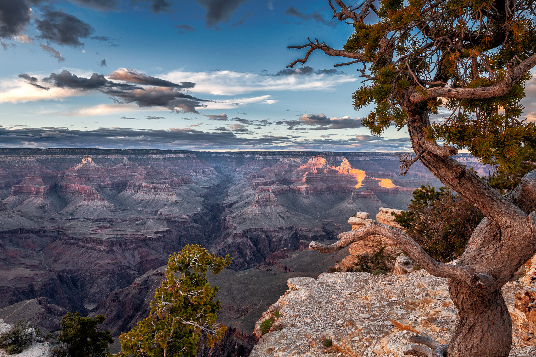 _DSC5493-Edit.jpg