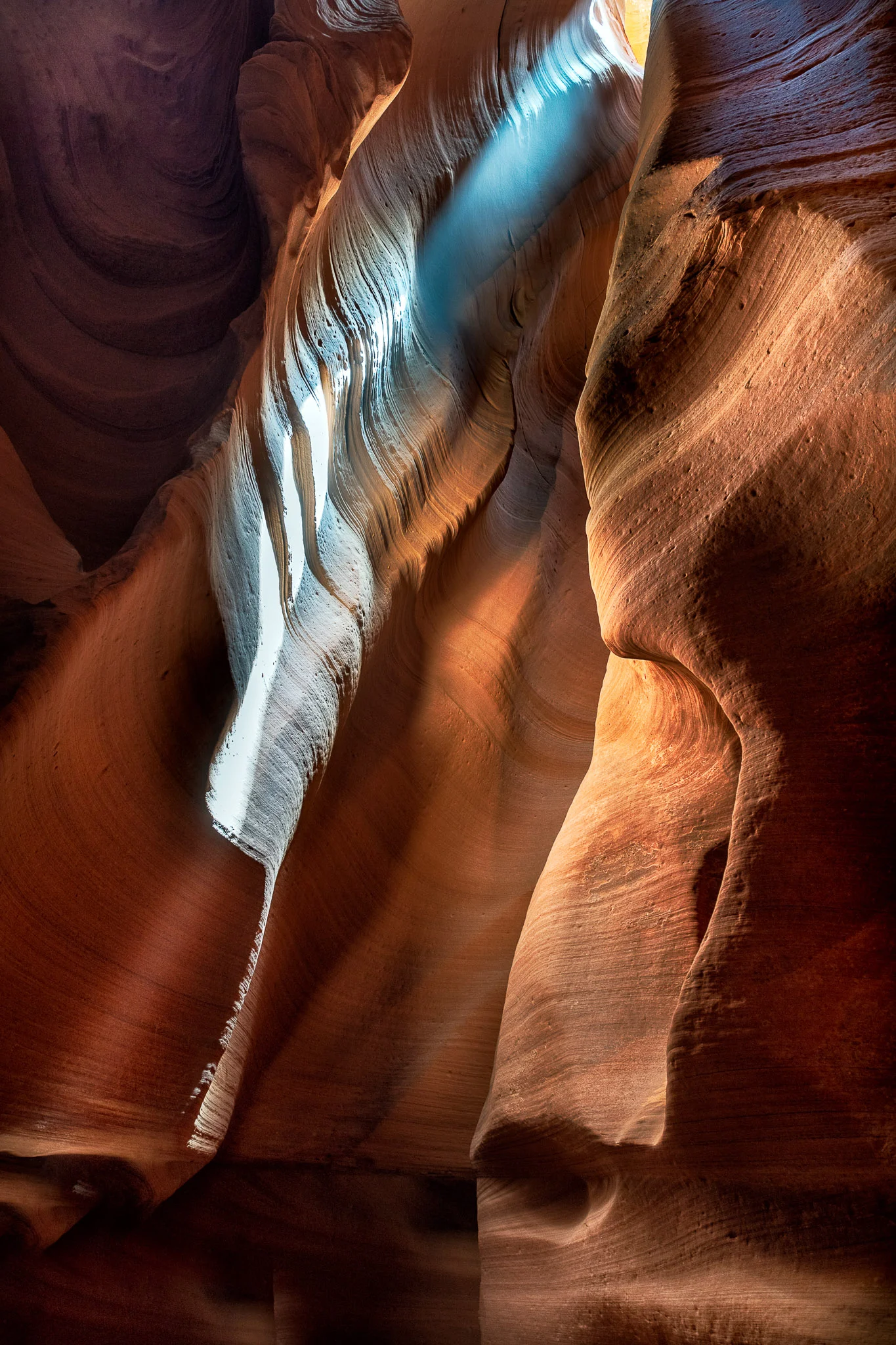 _DSC2955-Edit.jpg