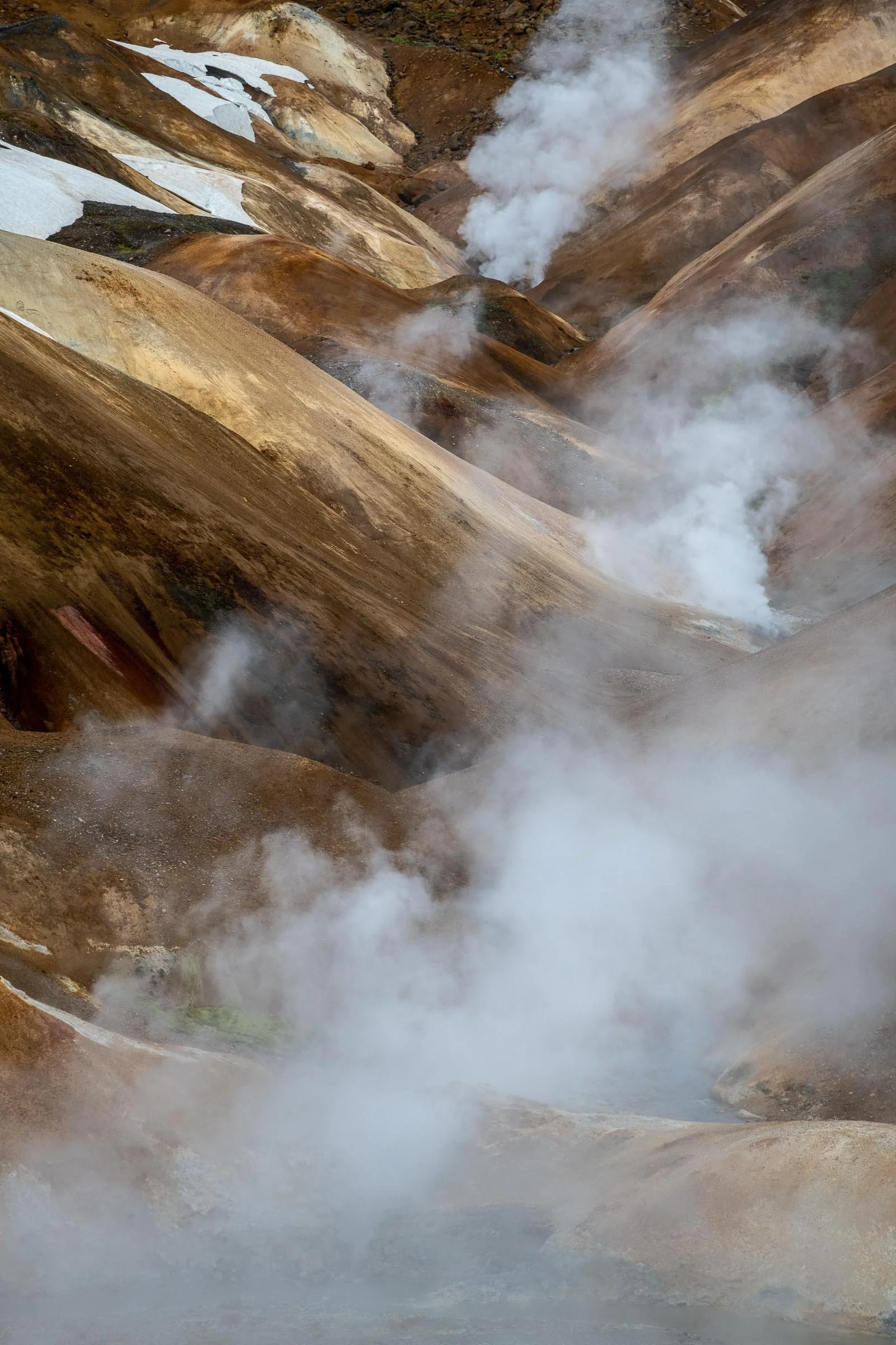 _DSC5621.jpg