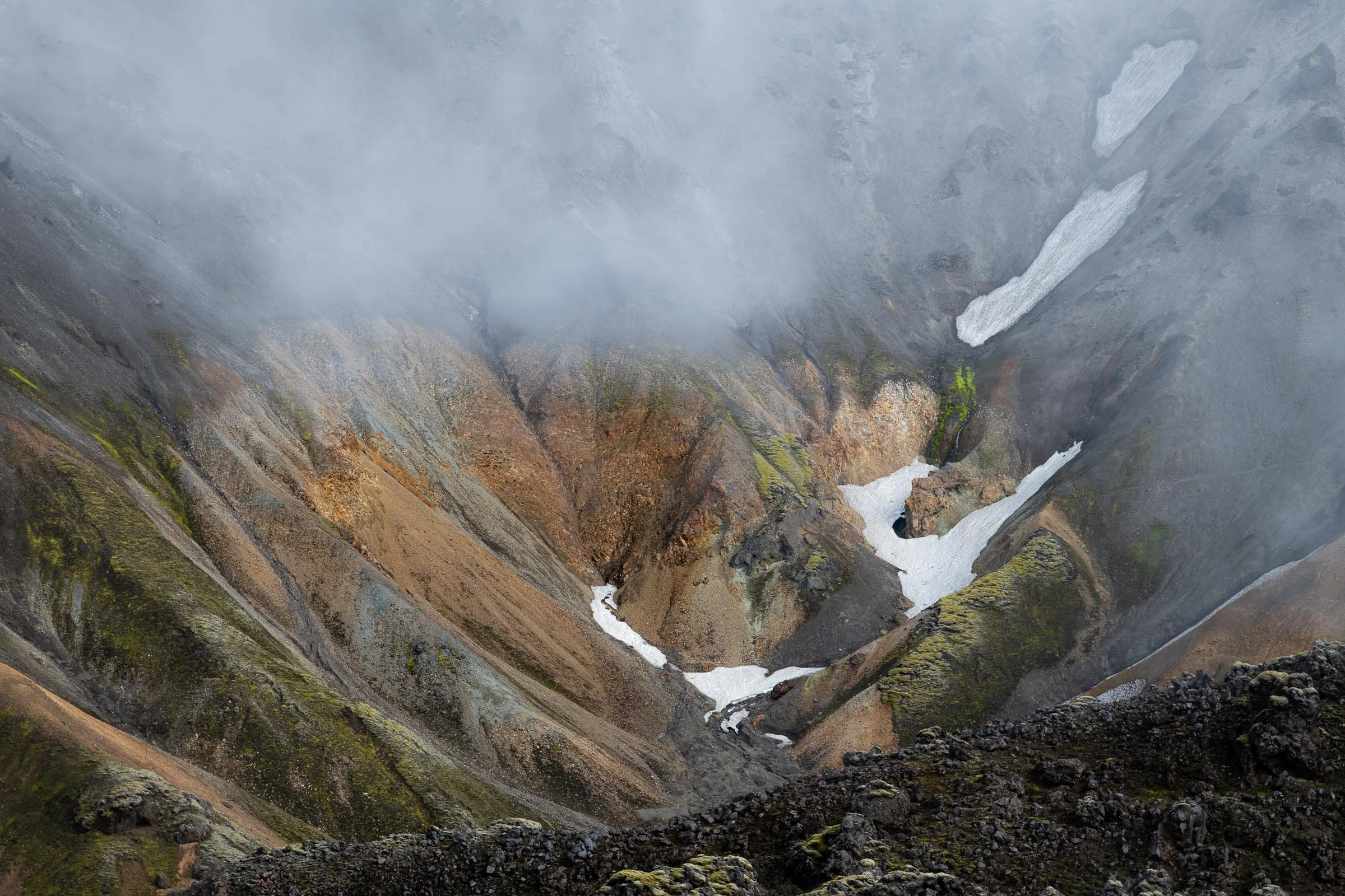 _DSC7879.jpg