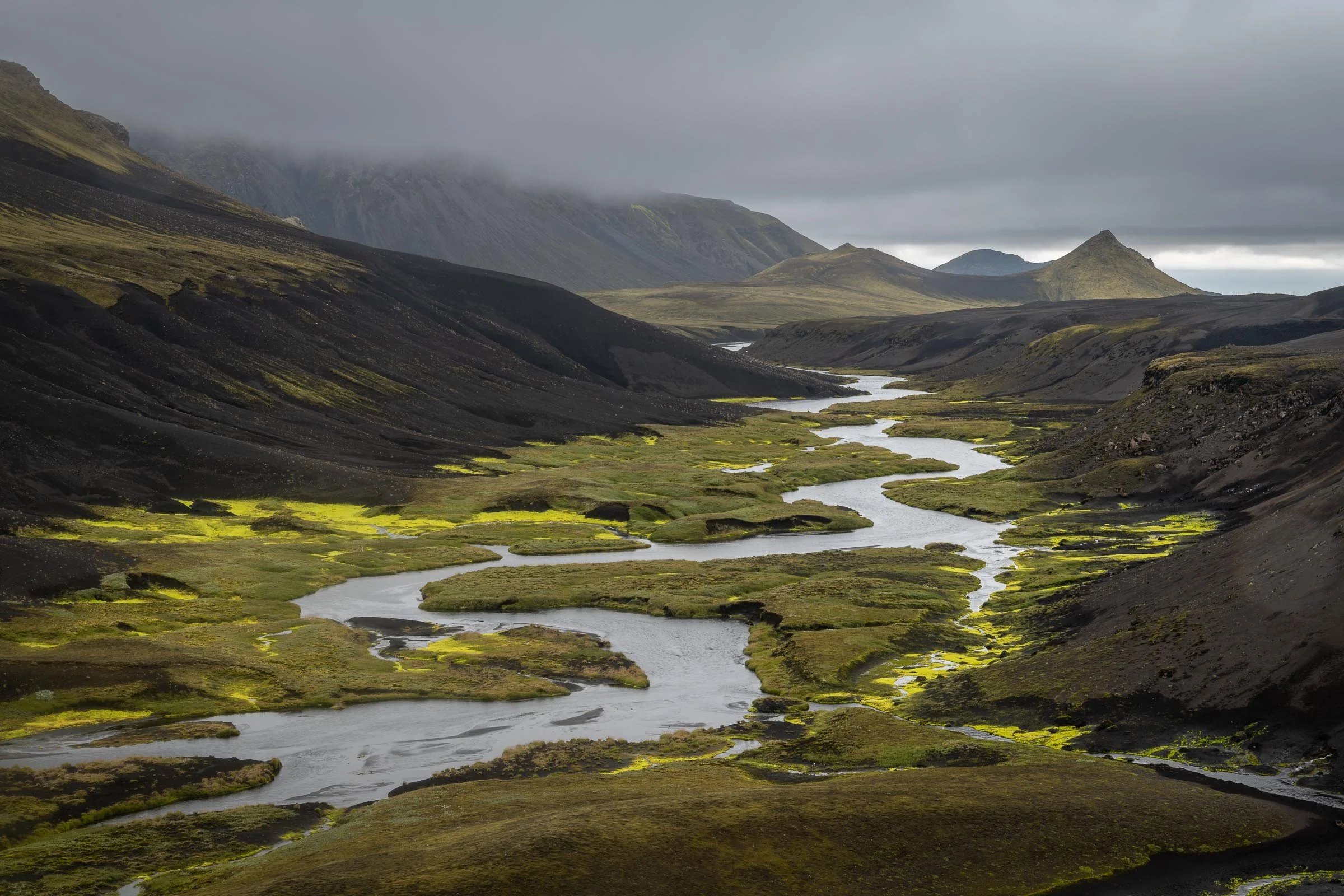 _DSC8563.jpg