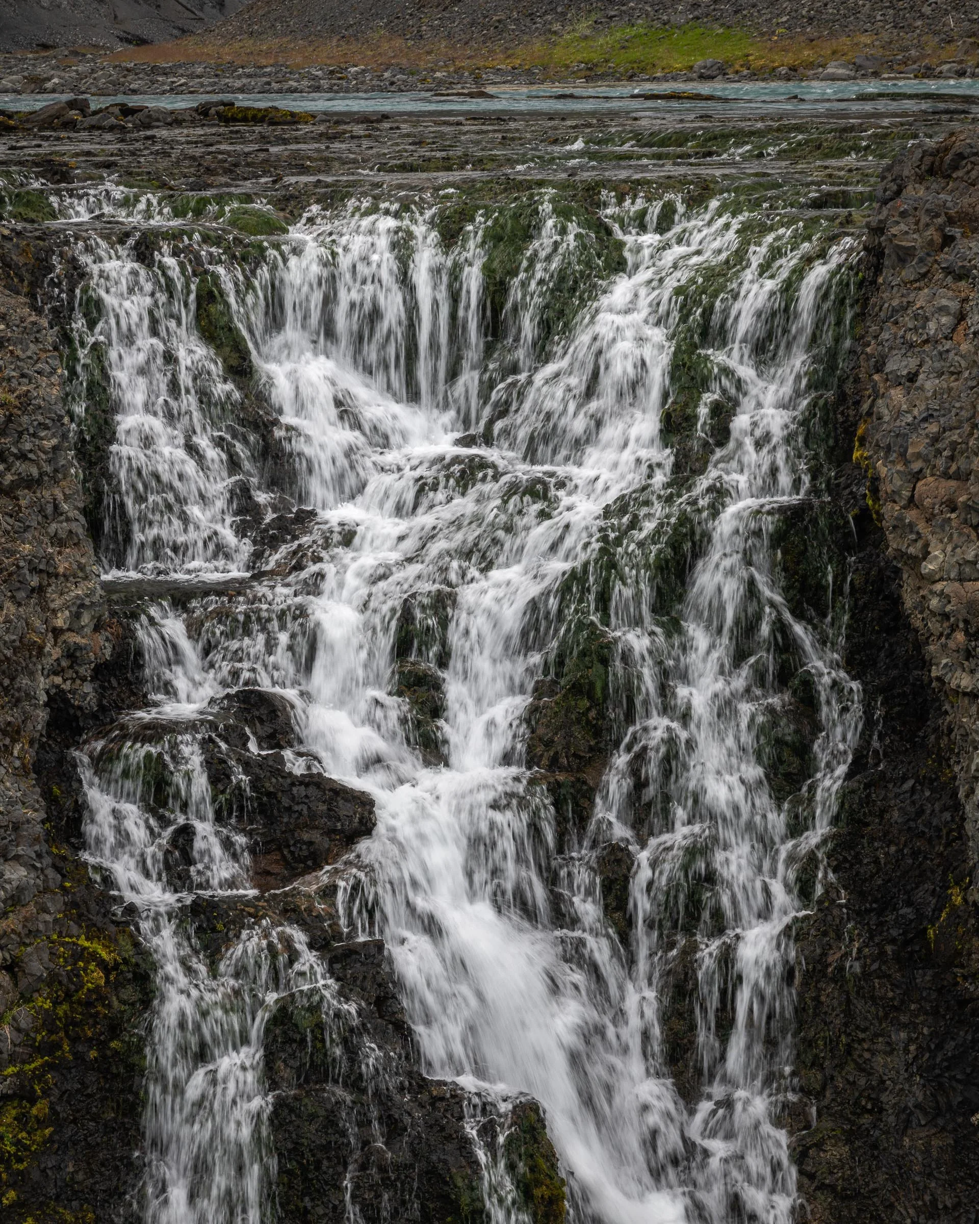 _DSC6043_600dpi.jpg
