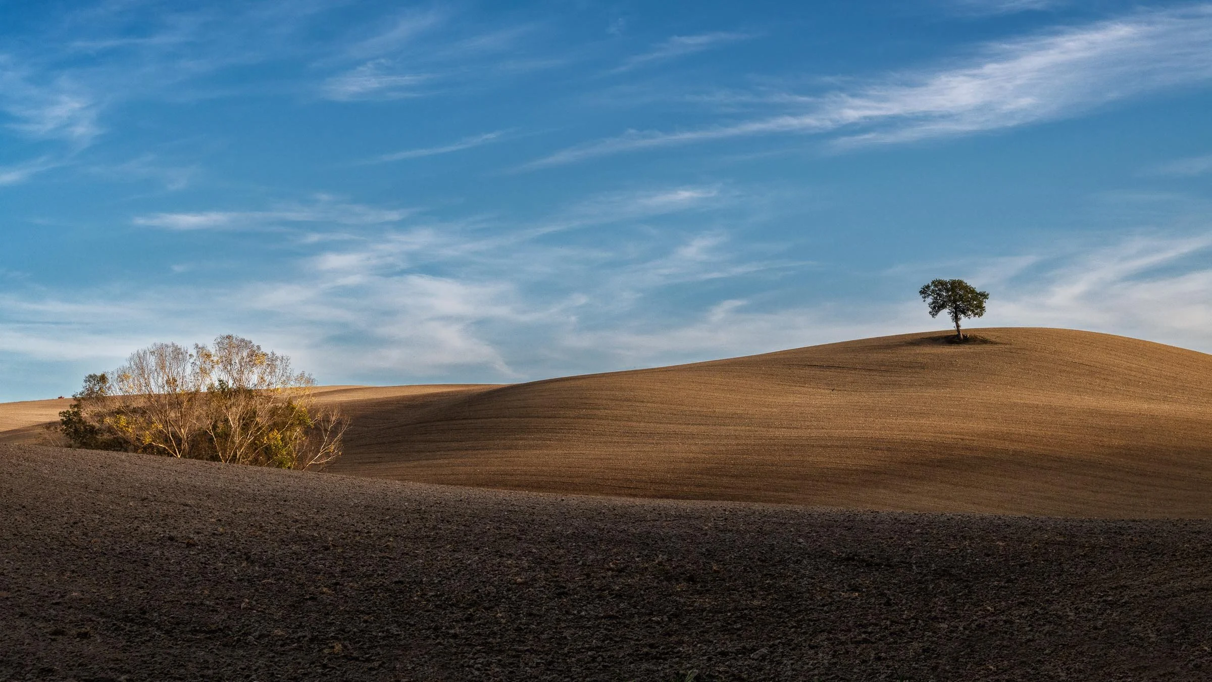 _DSC6531-Edit.jpg