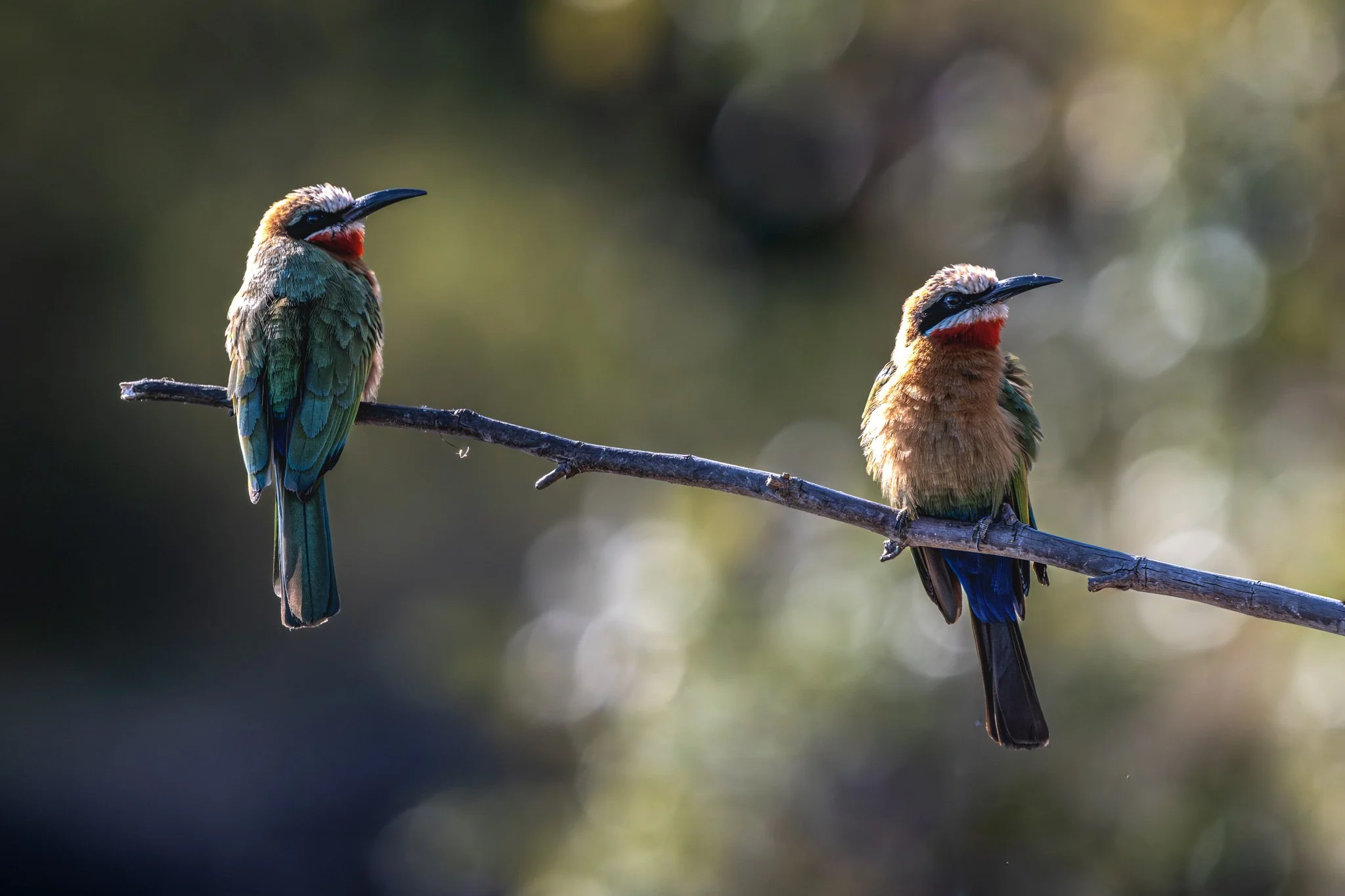 _DSC7341-Edit.jpg