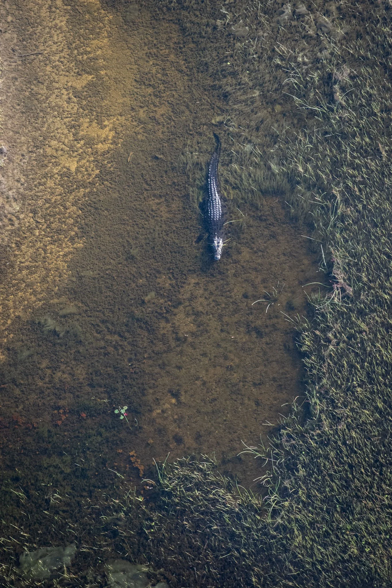 _DSC8961.jpg