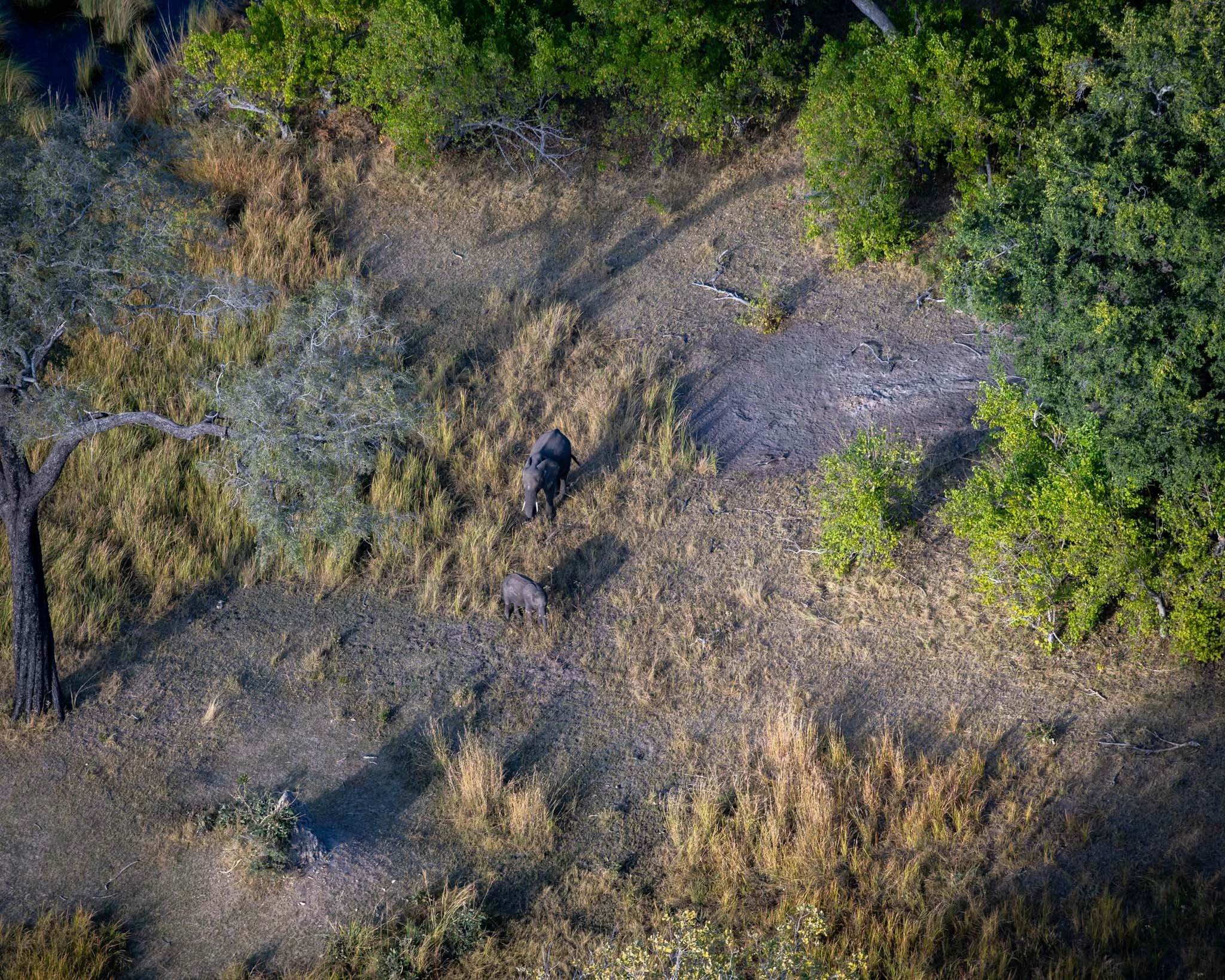 _DSC9165.jpg