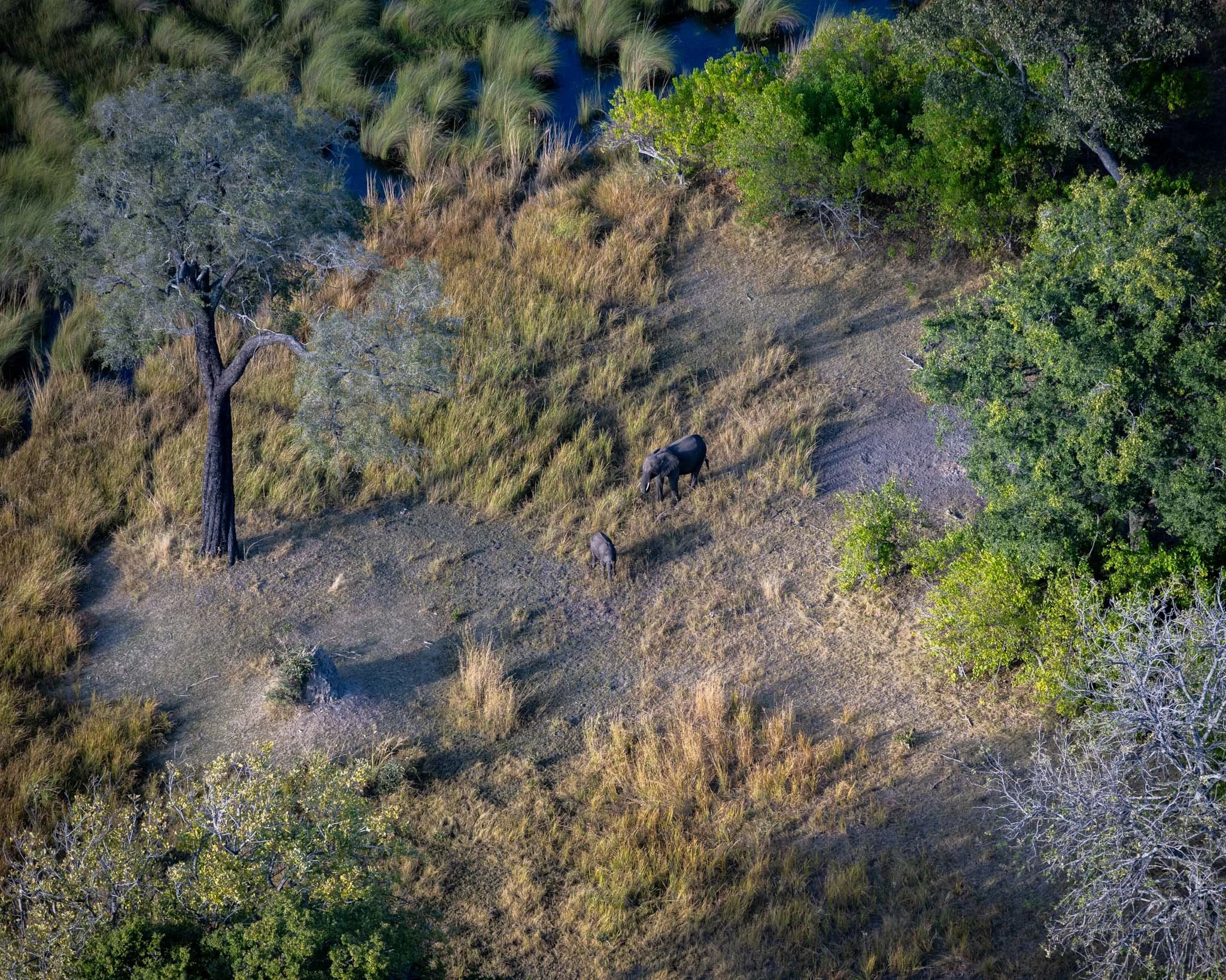 _DSC9174.jpg