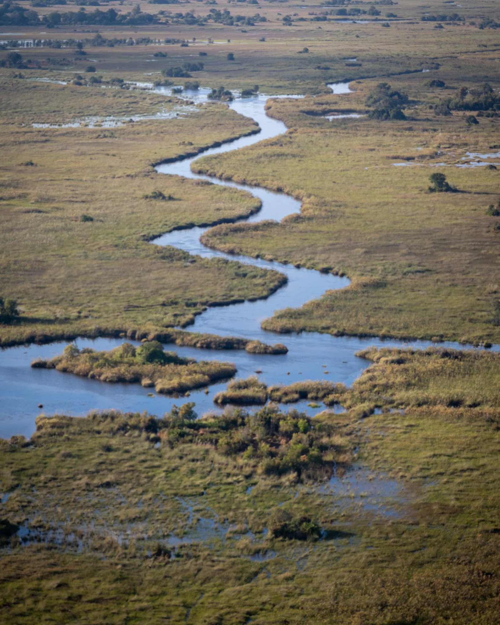_DSC9218.jpg