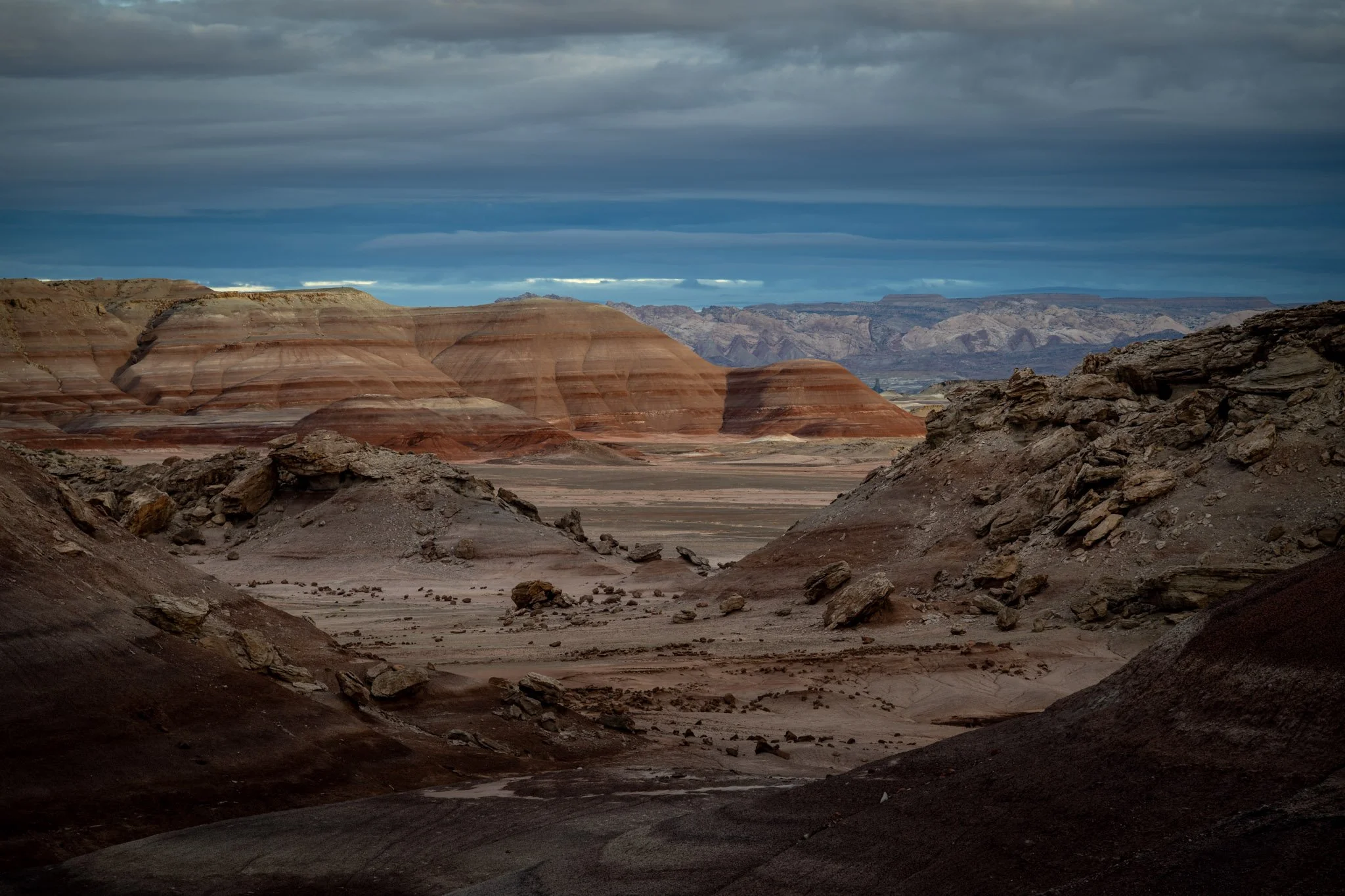 _DSC5511-2.jpg