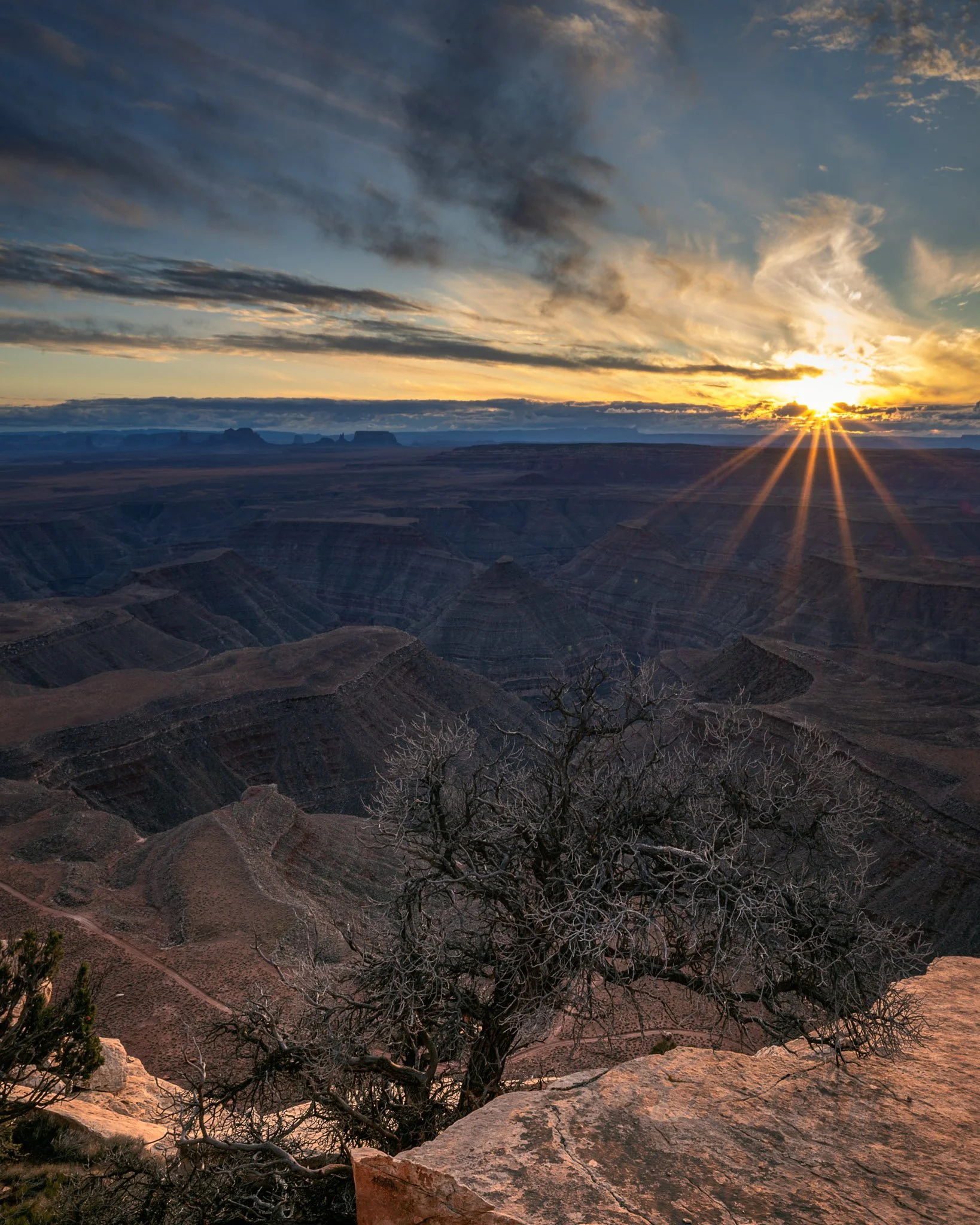 _DSC5798-Edit.jpg
