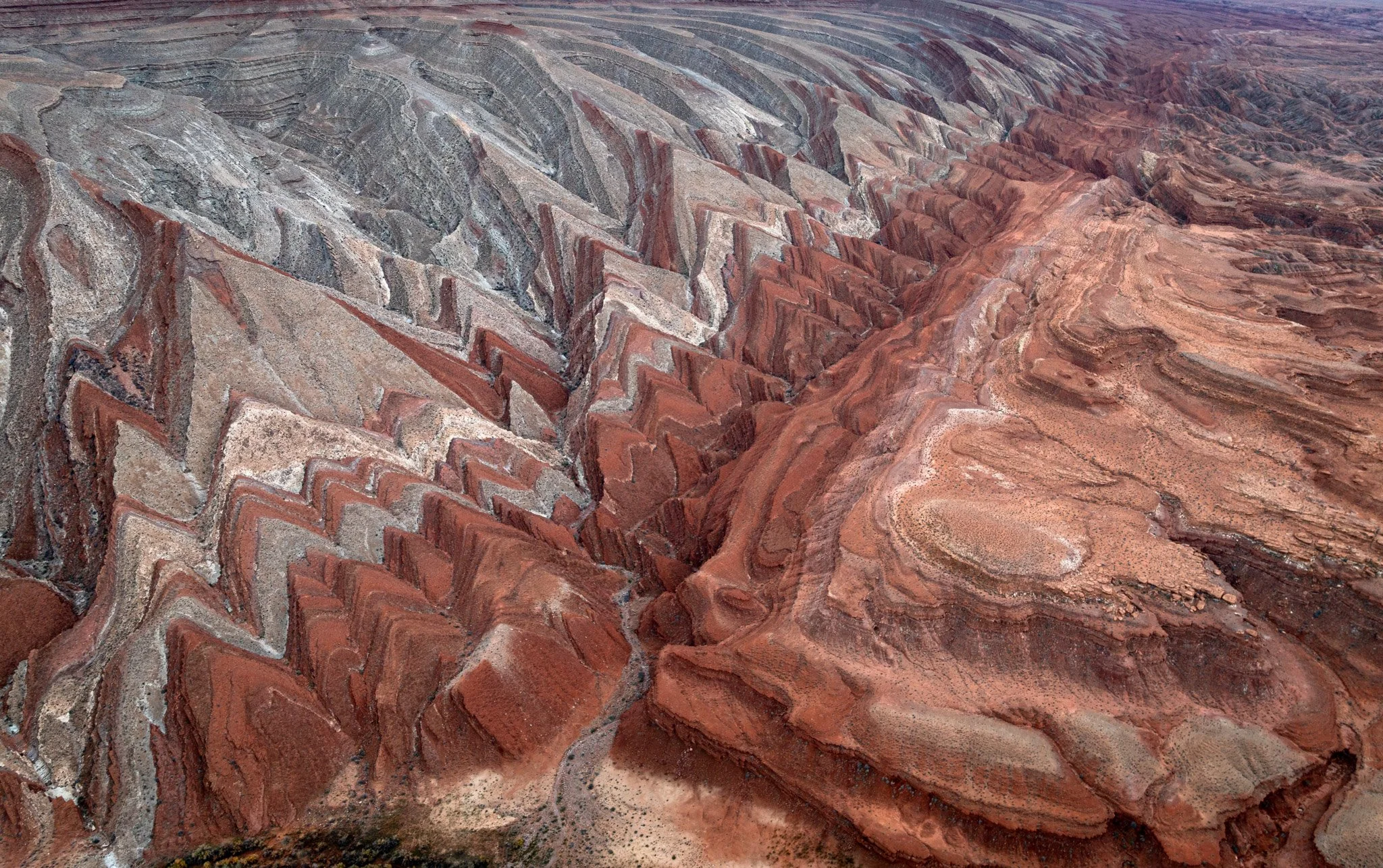 DJI_0264.jpg