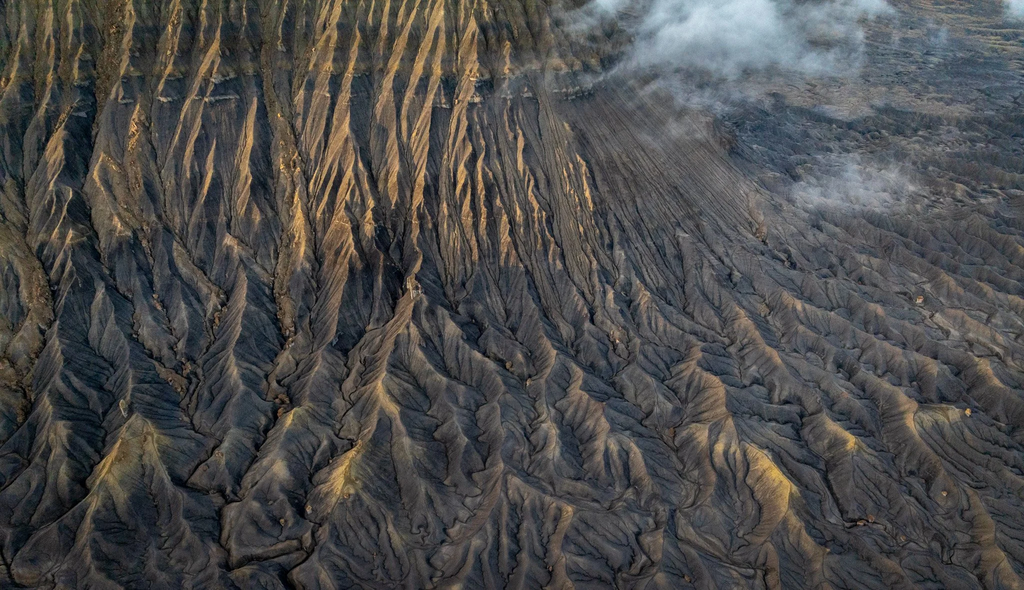 DJI_0310.jpg