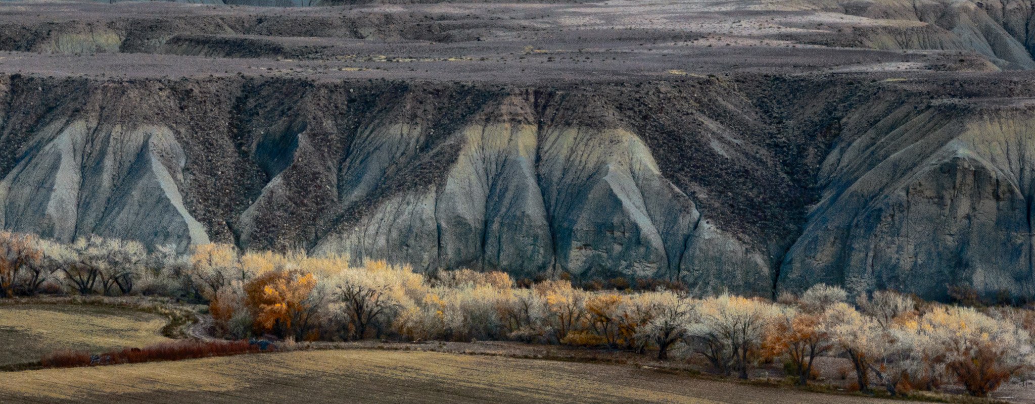 DJI_0604.jpg