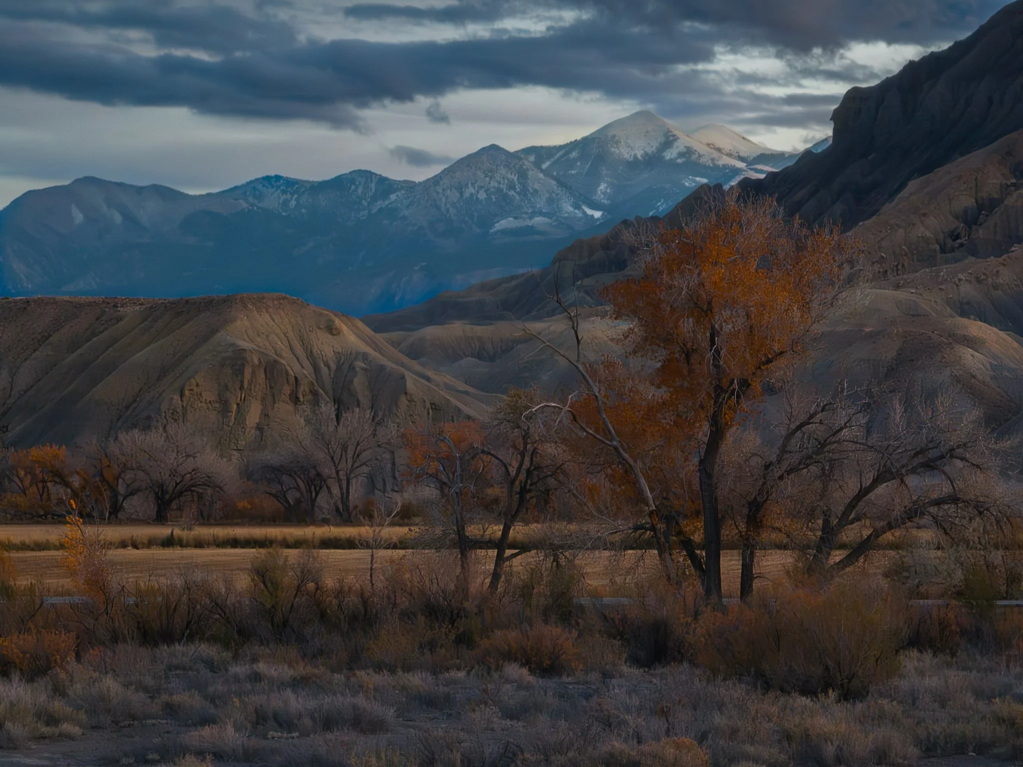 DJI_0649-Edit.jpg