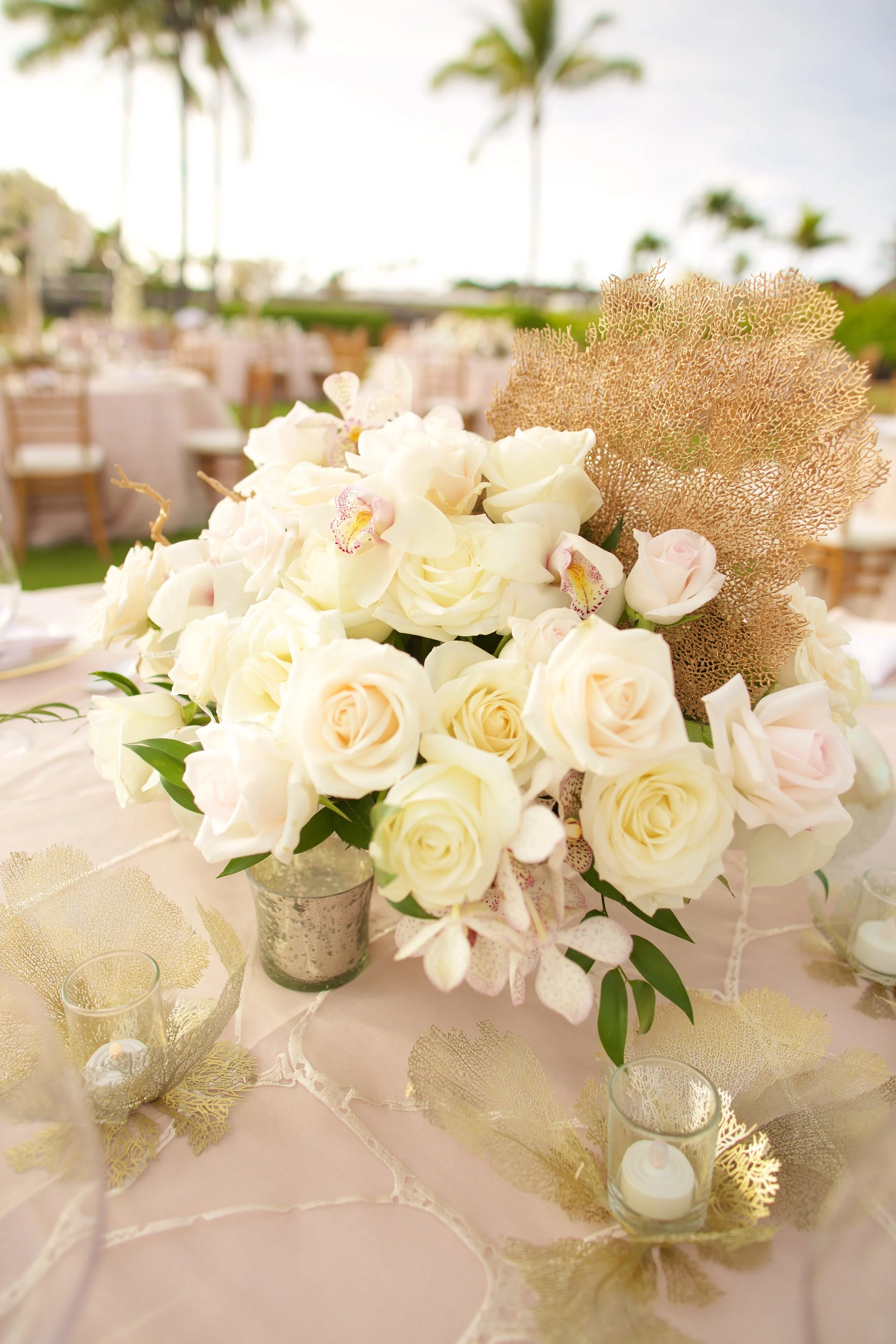 Photo by Anna Kim 425.jpg