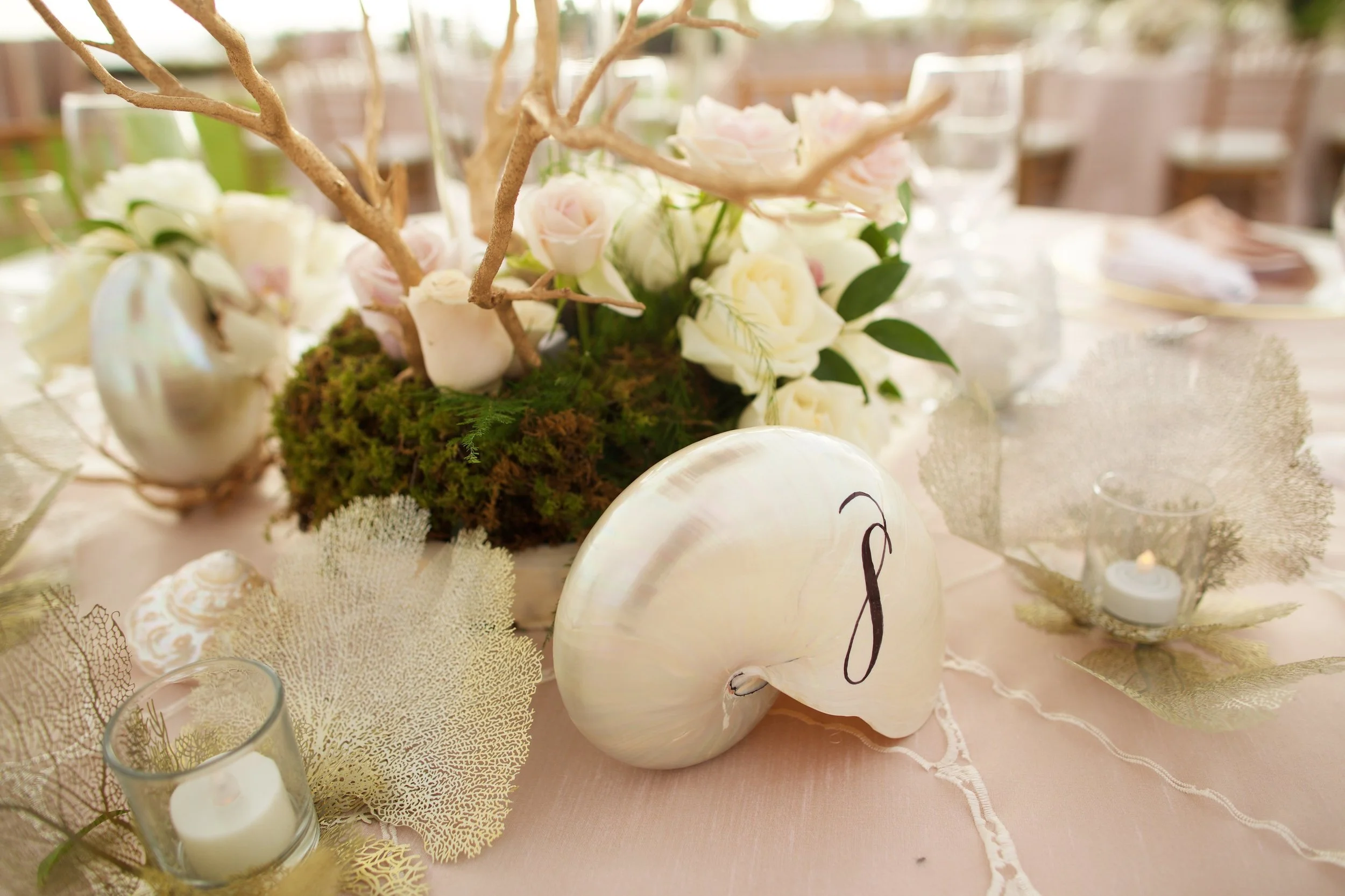 Photo by Anna Kim 430.jpg