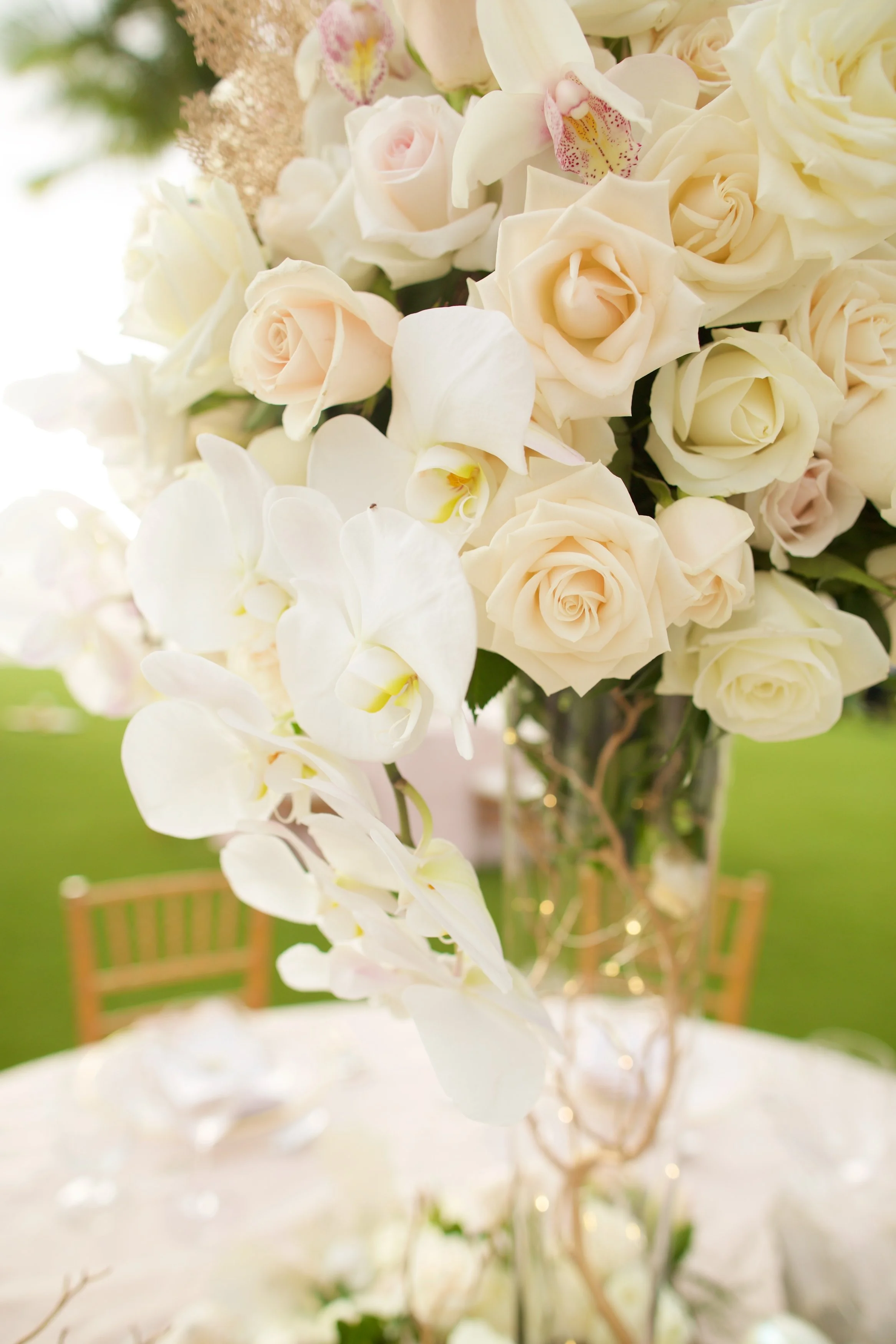 Photo by Anna Kim 444.jpg