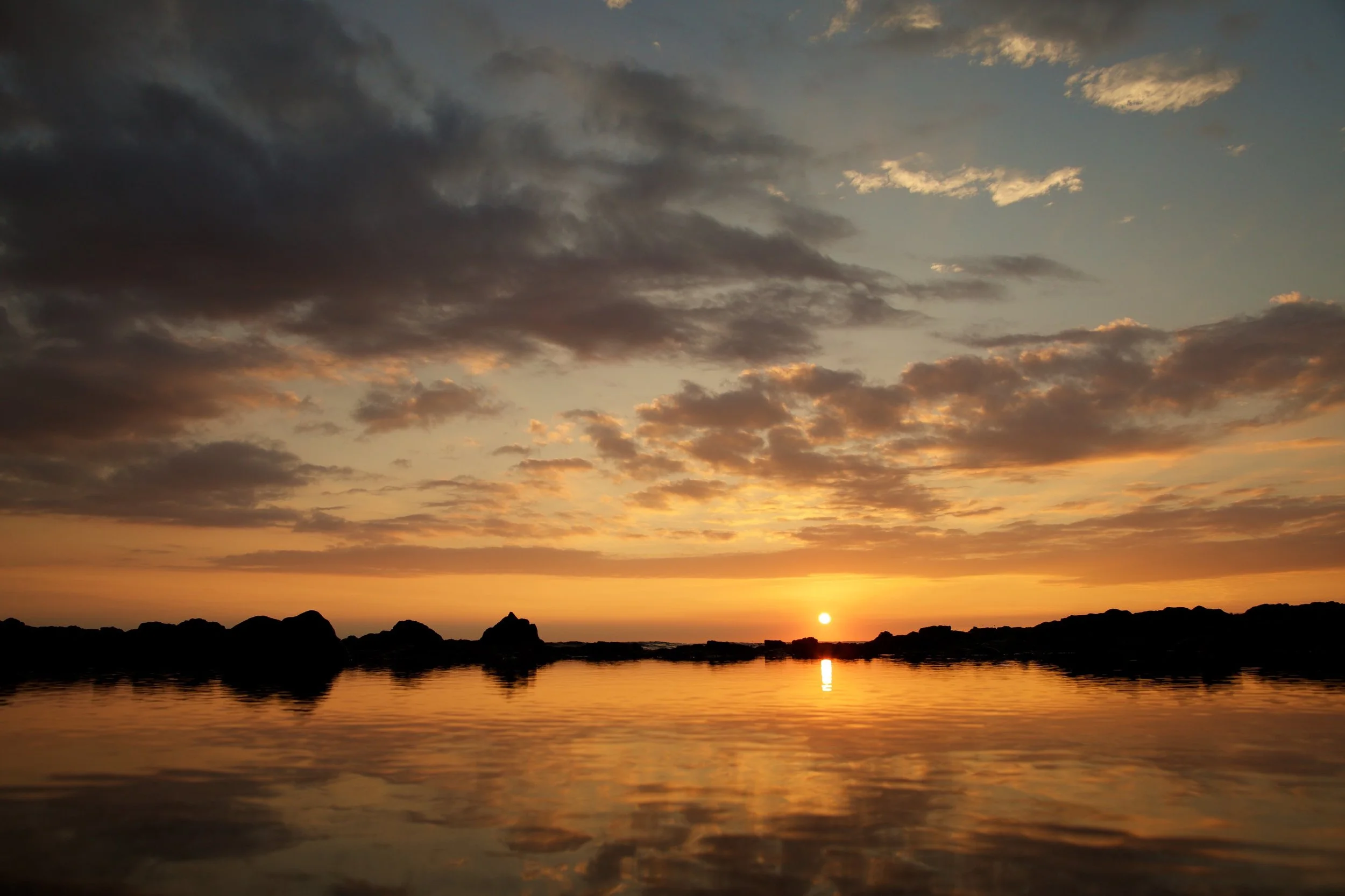 Photo by Anna Kim 623.jpg