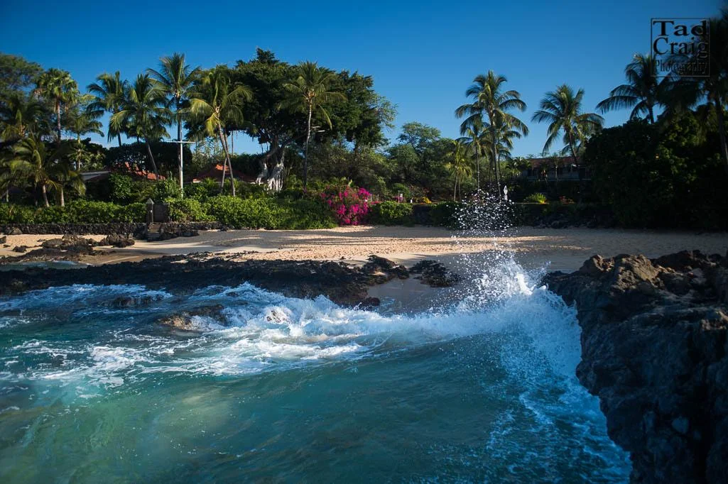 makena cove.jpg