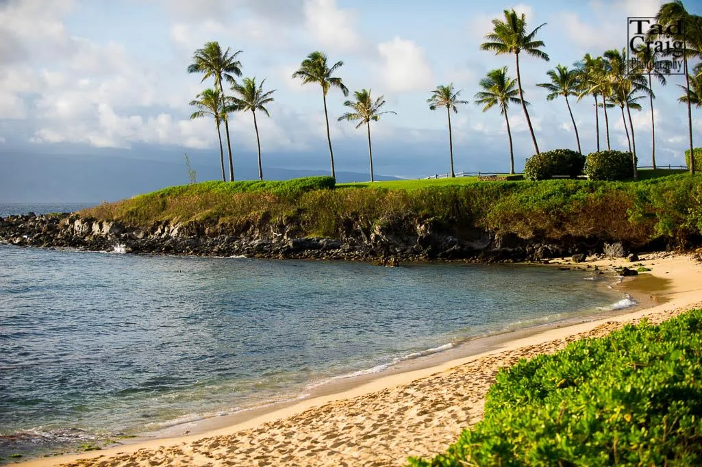 kapalua bay.jpg